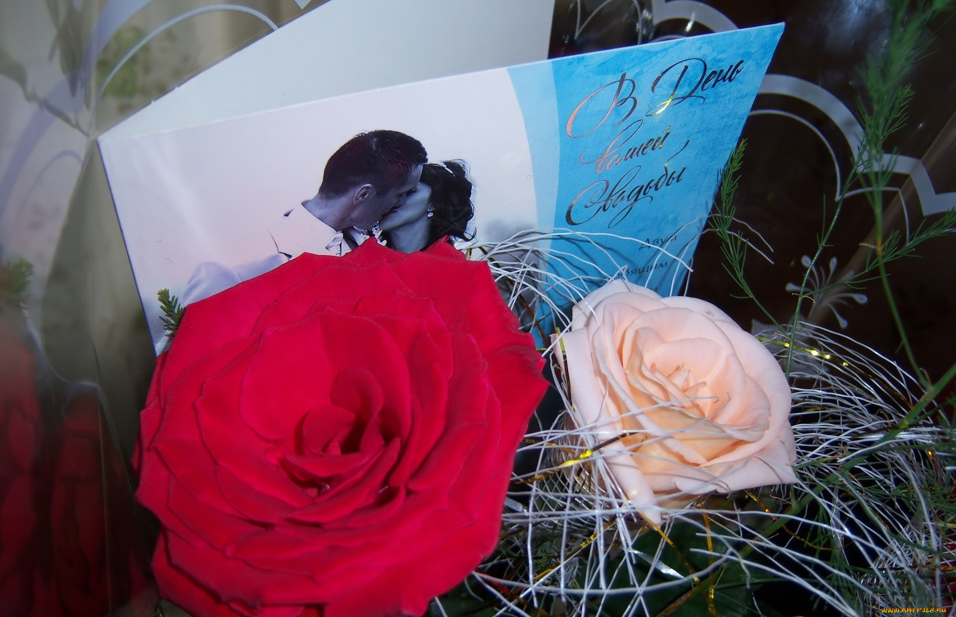 цветы, розы