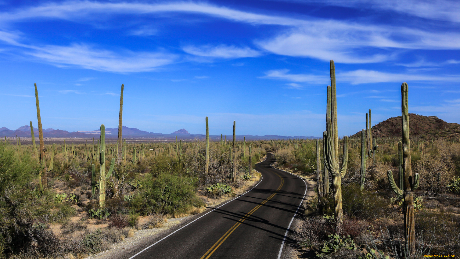 природа, дороги, простор