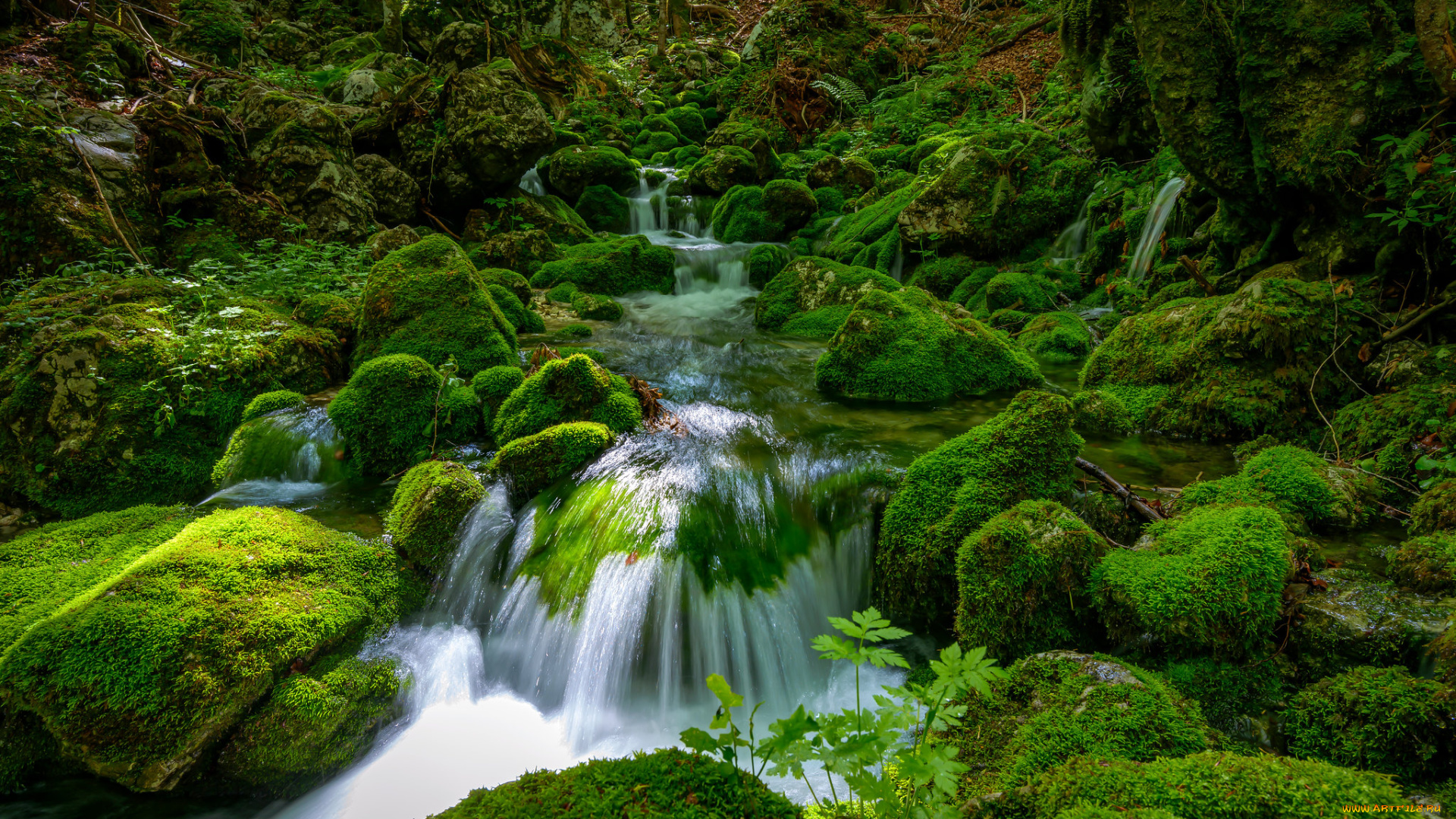 природа, реки, озера, простор