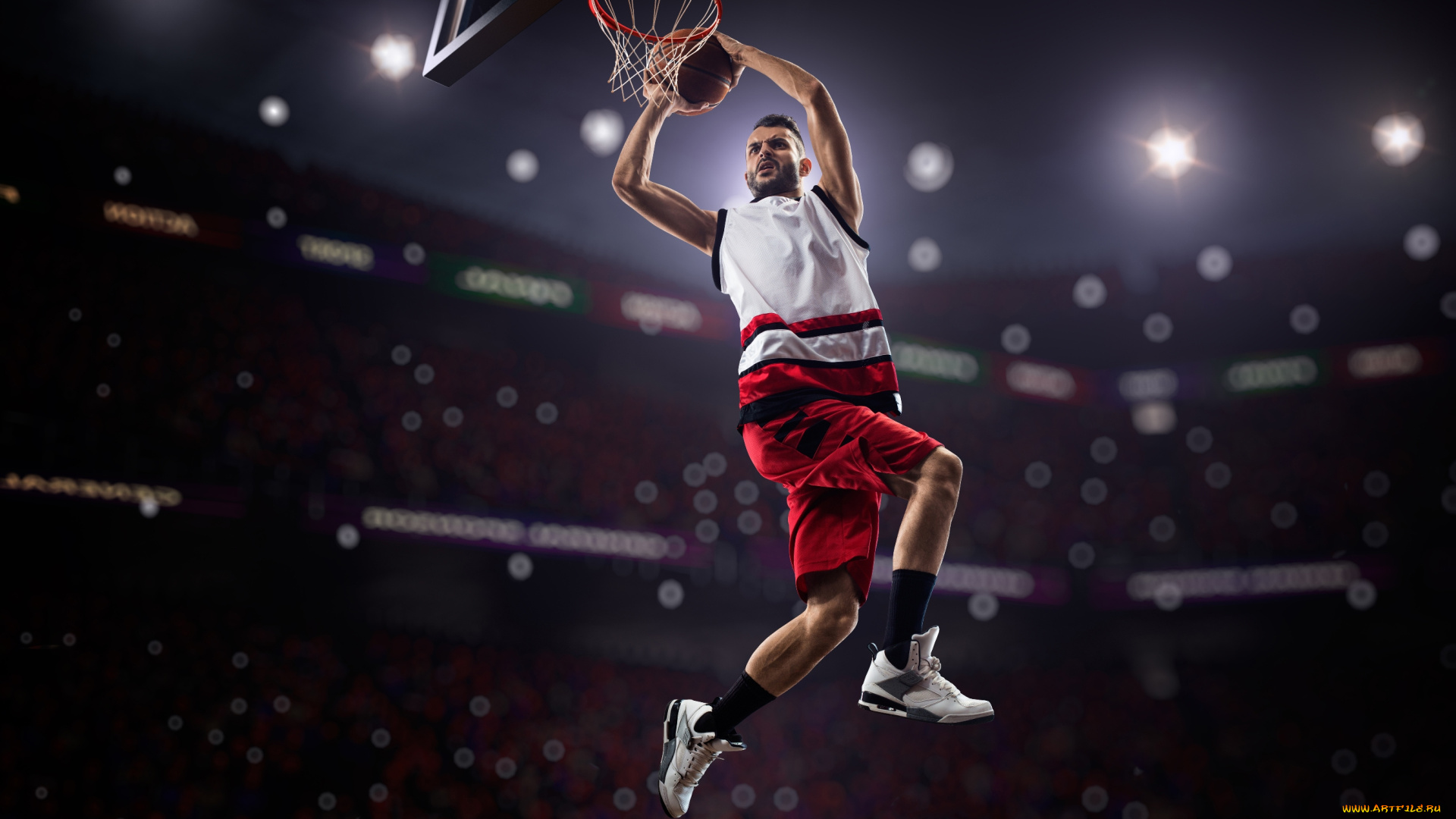 спорт, баскетбол