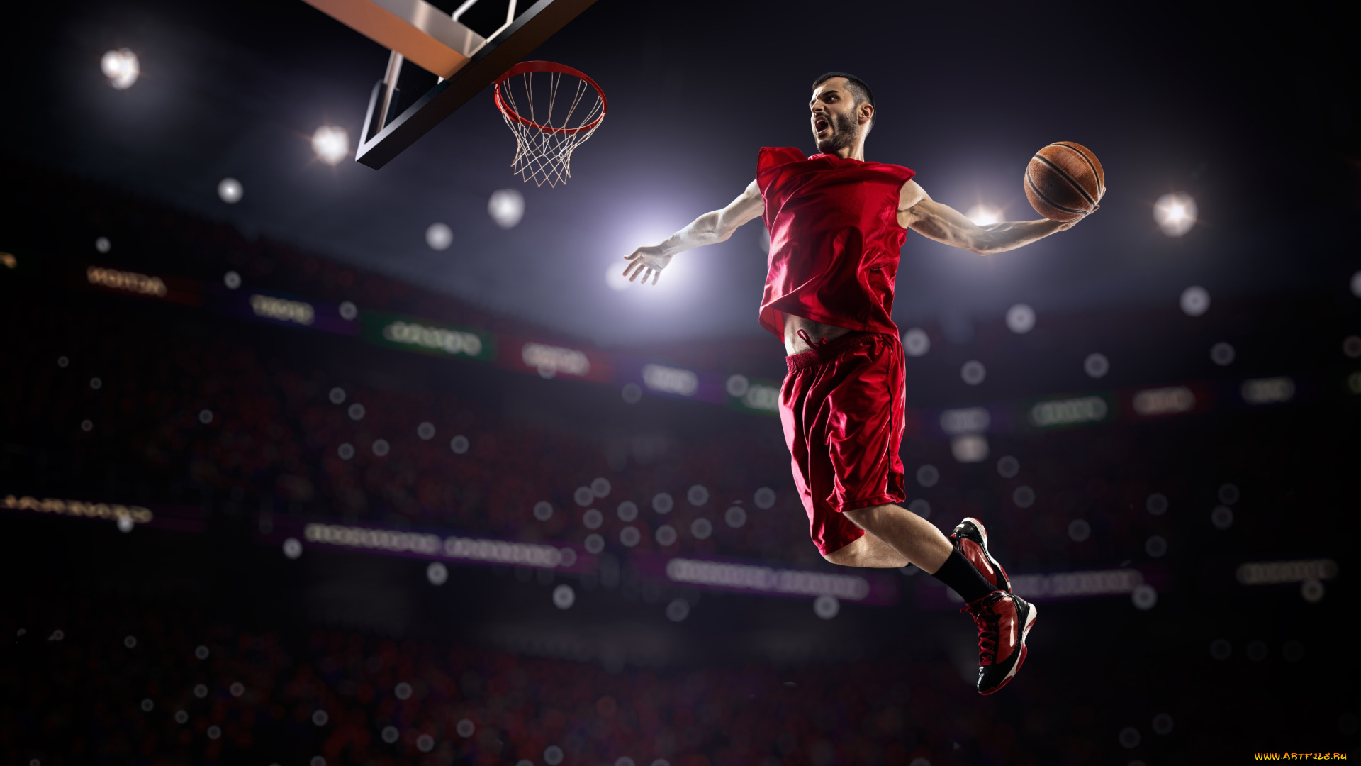 спорт, баскетбол