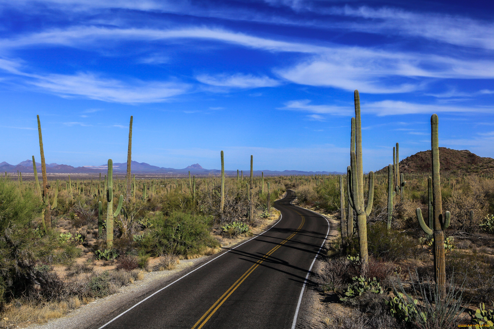 природа, дороги, простор