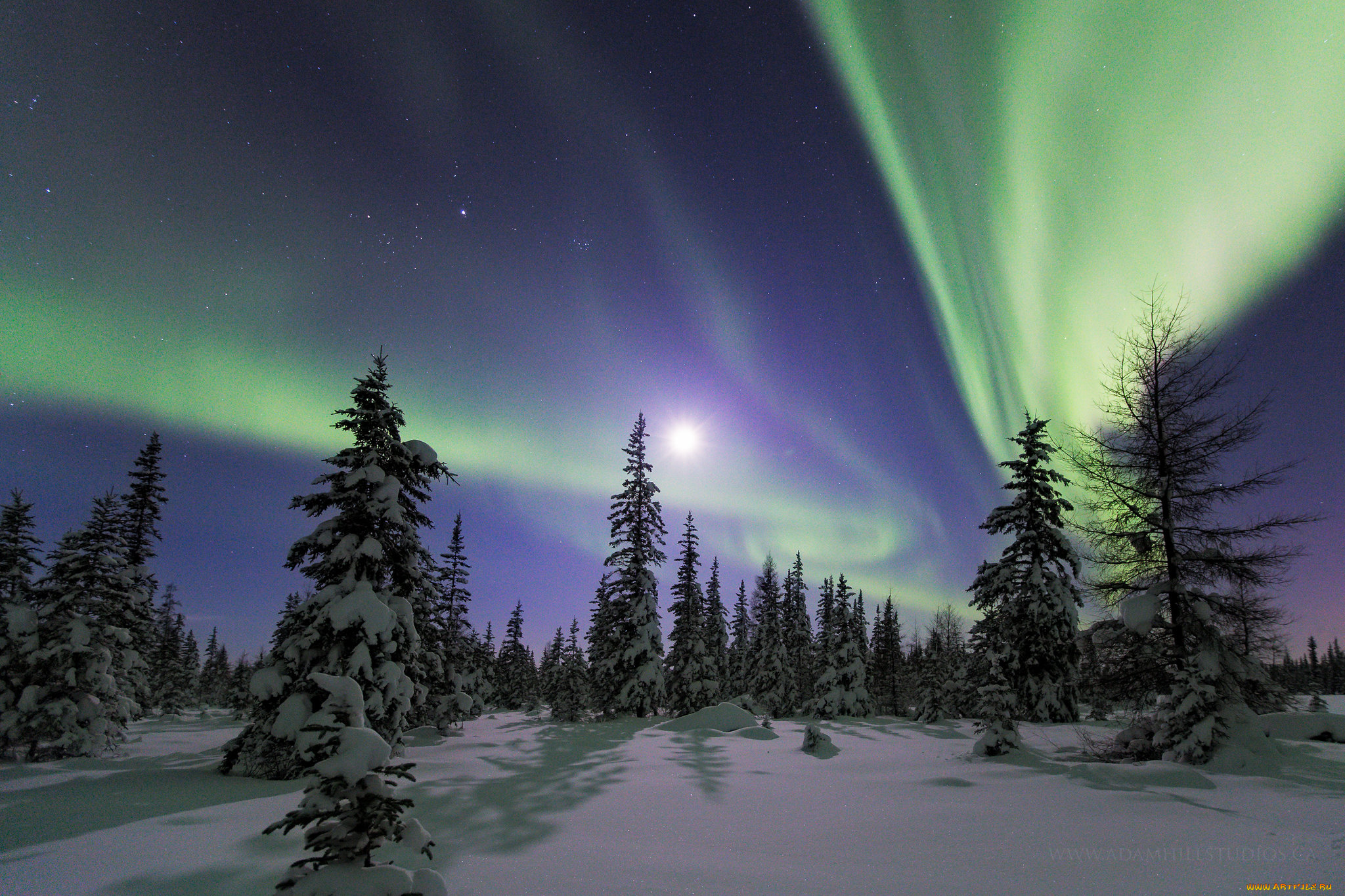 природа, северное, сияние, простор