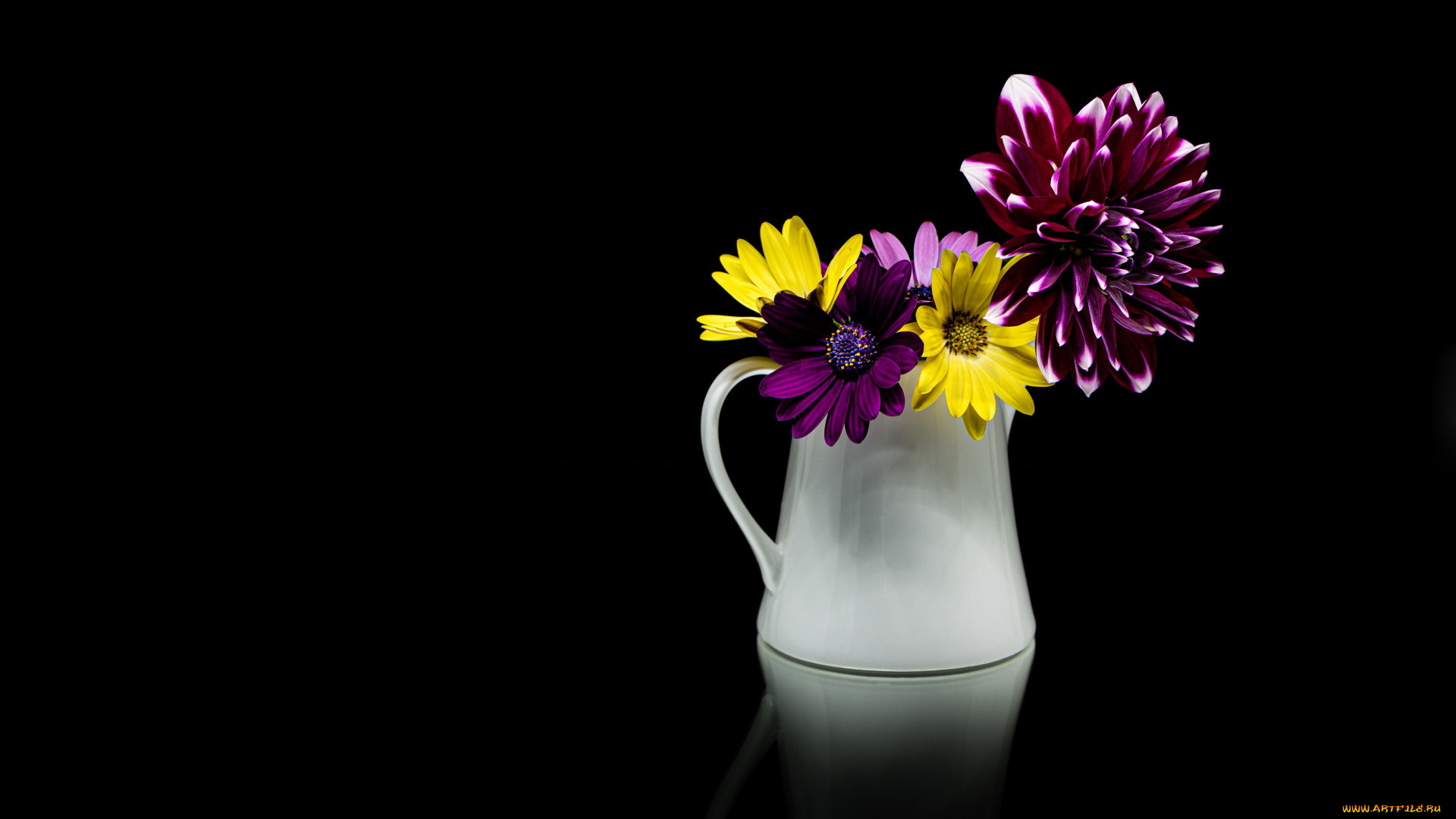 цветы, букеты, , композиции, георгин, остеопермум