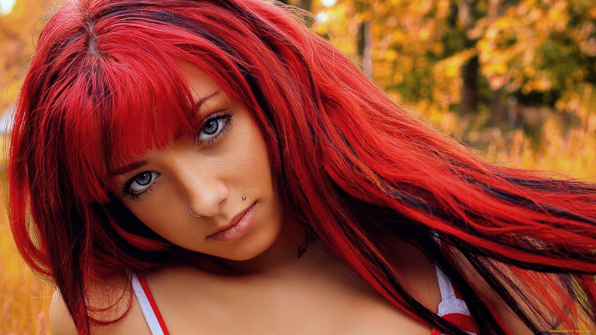 девушки, -, рыжеволосые, и, разноцветные, портрет, лицо, девушка, рыжеволосая, красотка, пирсинг, макияж, поза, причёска, крашеная, флирт