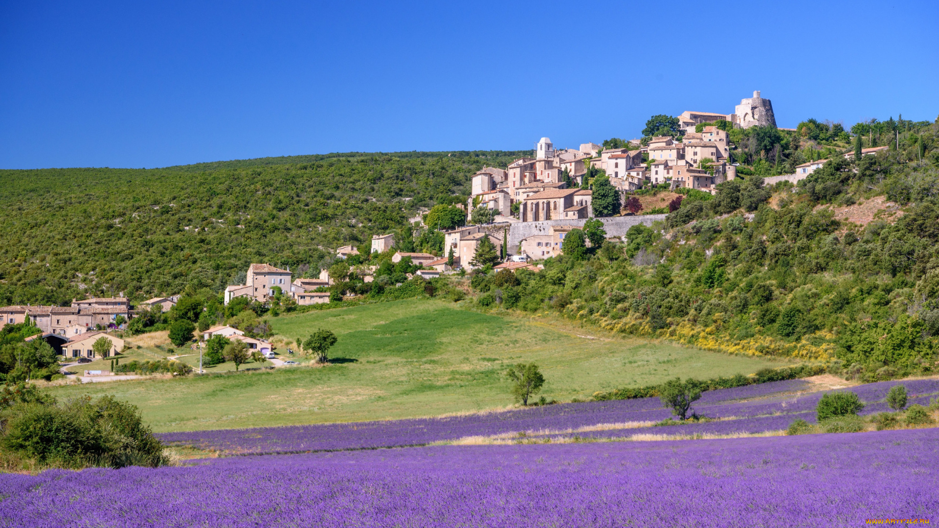 лаванда, города, -, пейзажи, симьян-ла-ротонд, франция