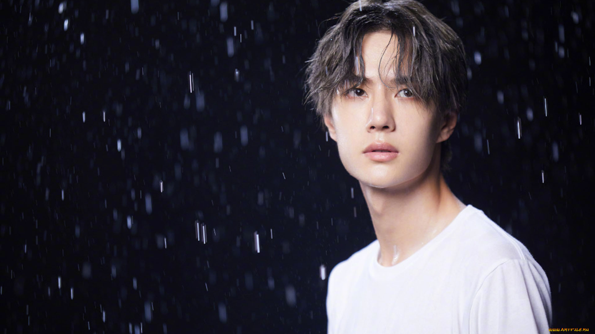 мужчины, wang, yi, bo, ван, ибо, wang, yi, bo