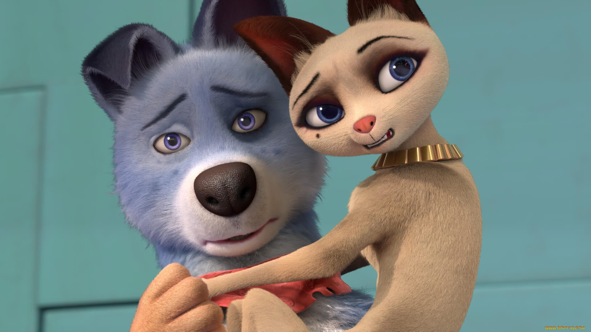 pets, united, , 2019, мультфильмы, pets, united, cоюз, зверей, cпасение, двуногих, германия, китай, великобритания, мультфильм