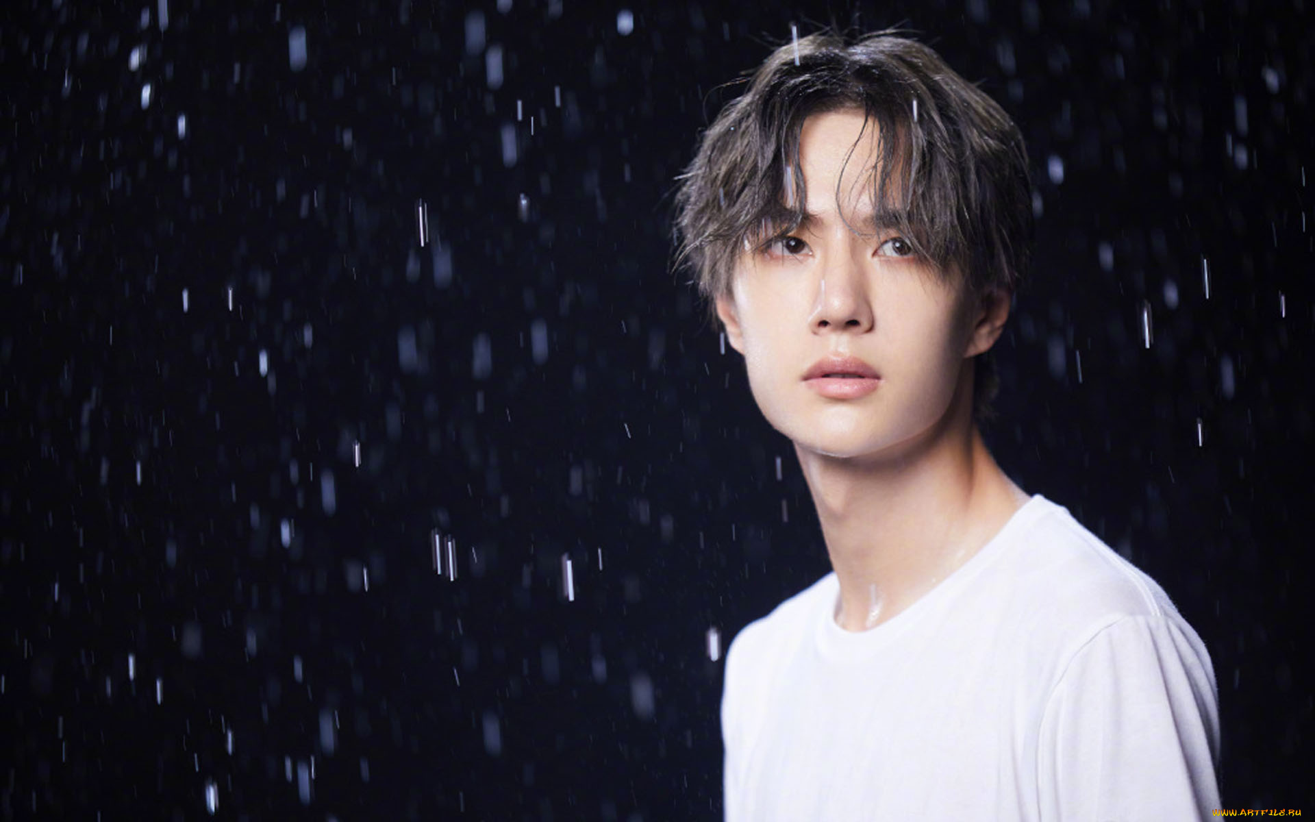 мужчины, wang, yi, bo, ван, ибо, wang, yi, bo