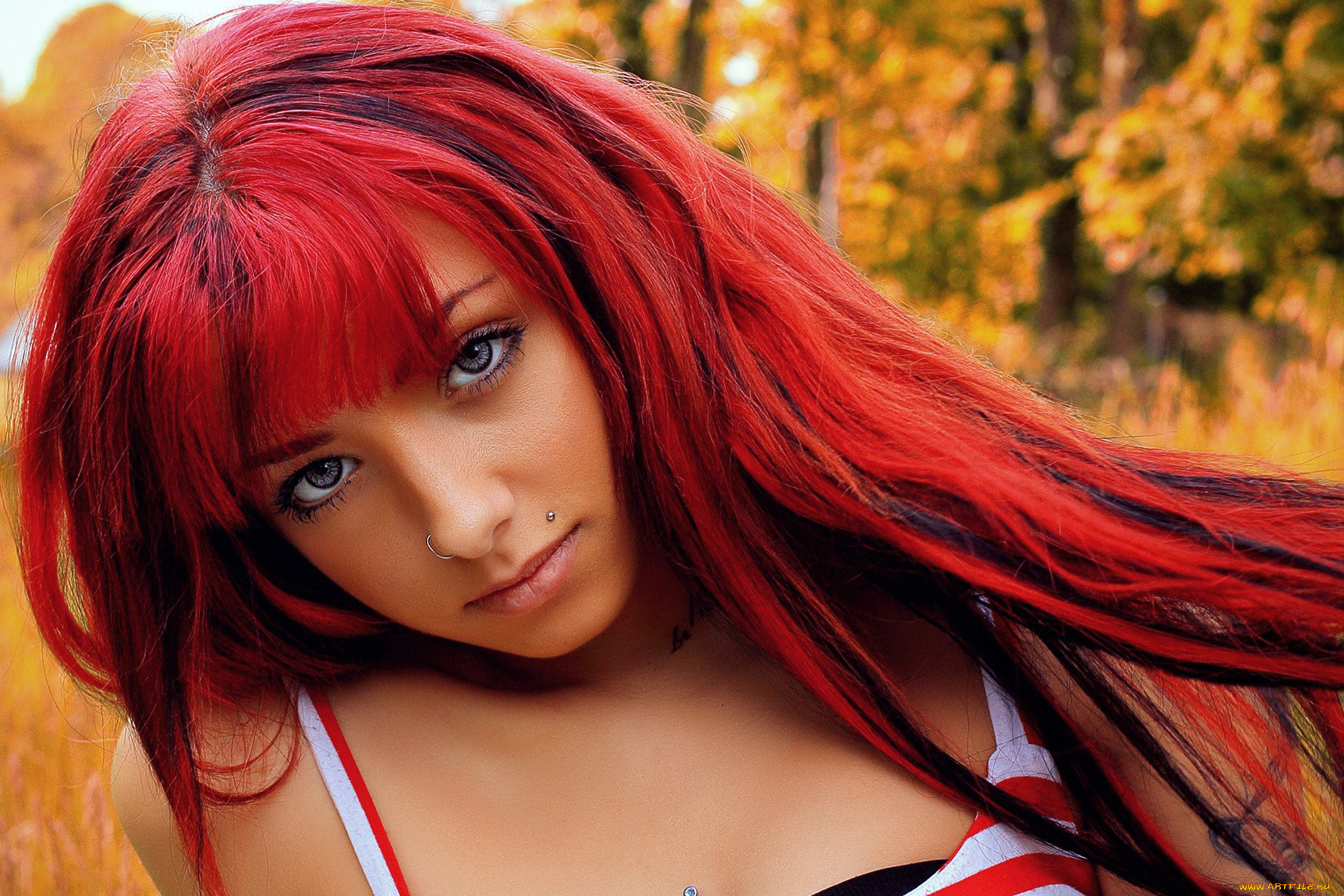 девушки, -, рыжеволосые, и, разноцветные, портрет, лицо, девушка, рыжеволосая, красотка, пирсинг, макияж, поза, причёска, крашеная, флирт