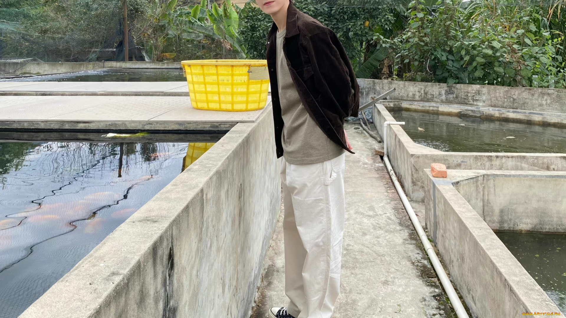 мужчины, zhu, zanjin, чжу, цзань, цзинь