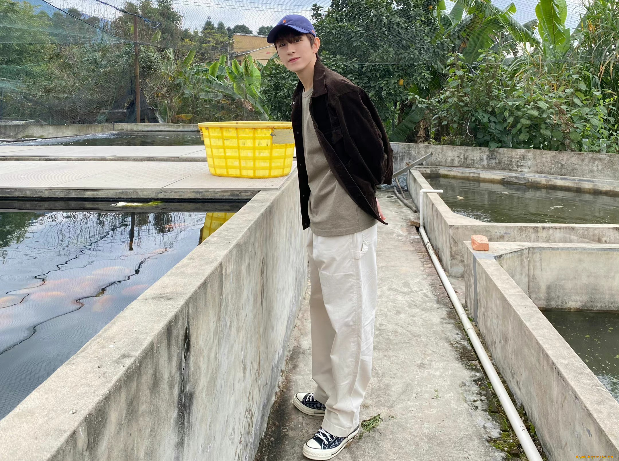 мужчины, zhu, zanjin, чжу, цзань, цзинь