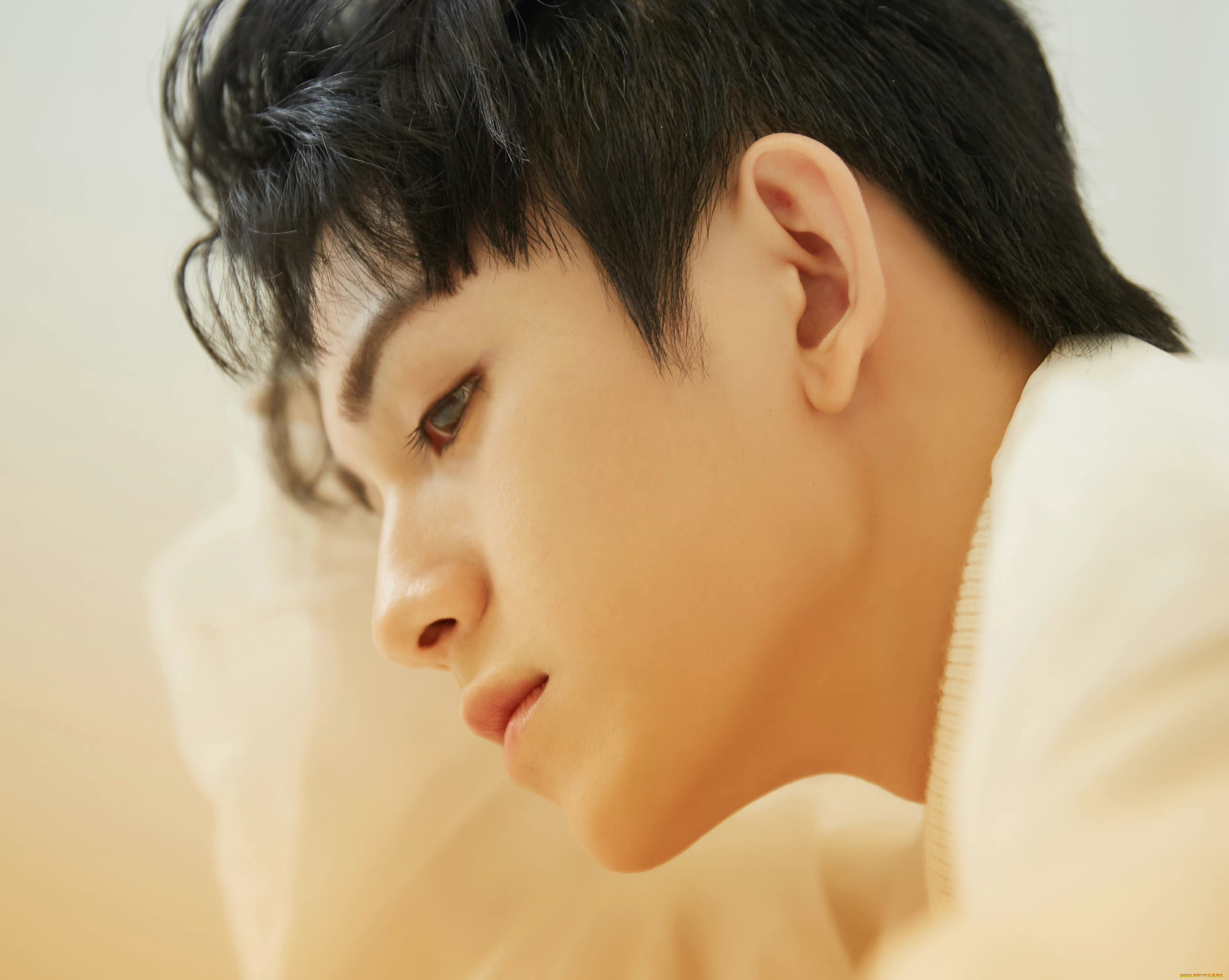 мужчины, zhu, zanjin, zhu, zanjin, чжу, цзаньцзинь