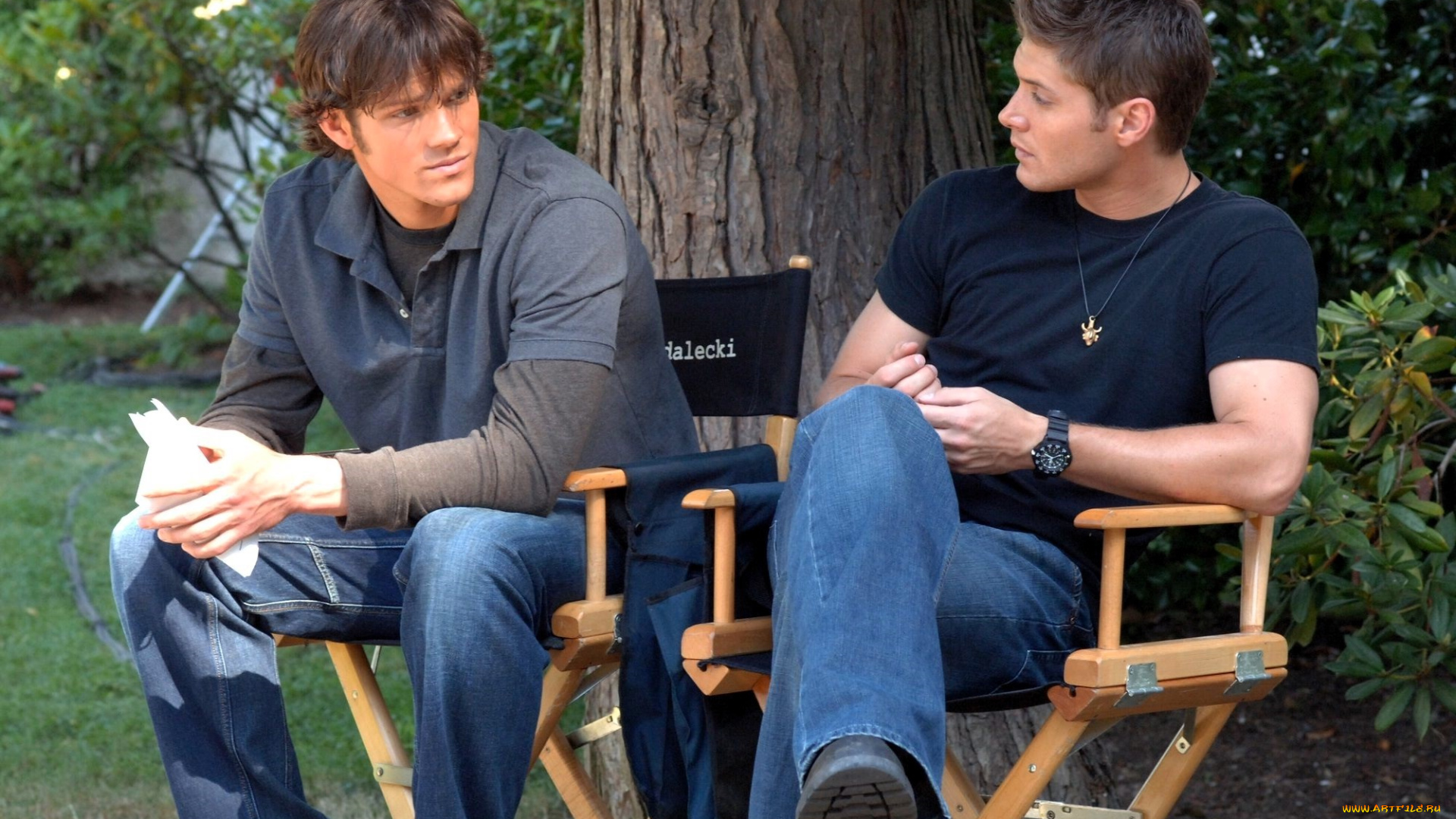 разное, знаменитости, актеры, разговор, стулья, дерево