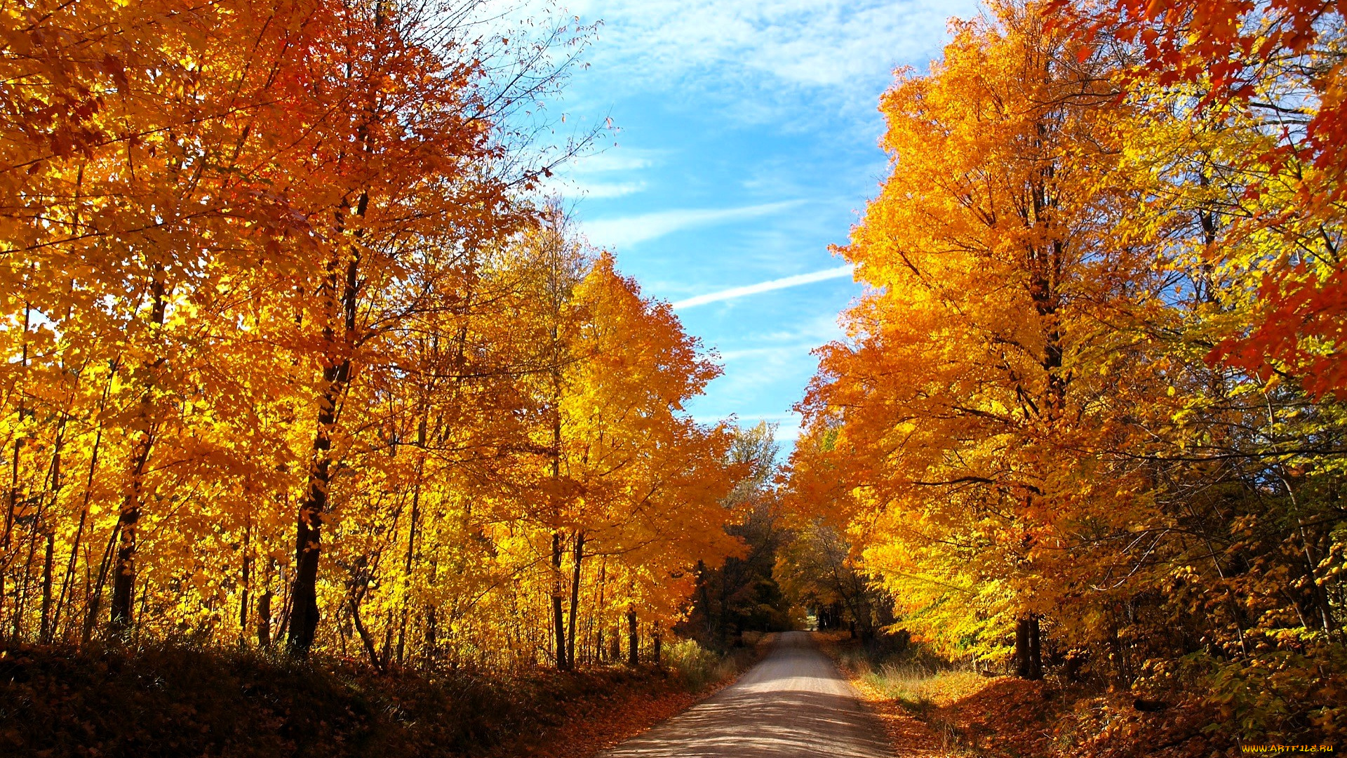 природа, дороги, лес, осень, деревья, дорога