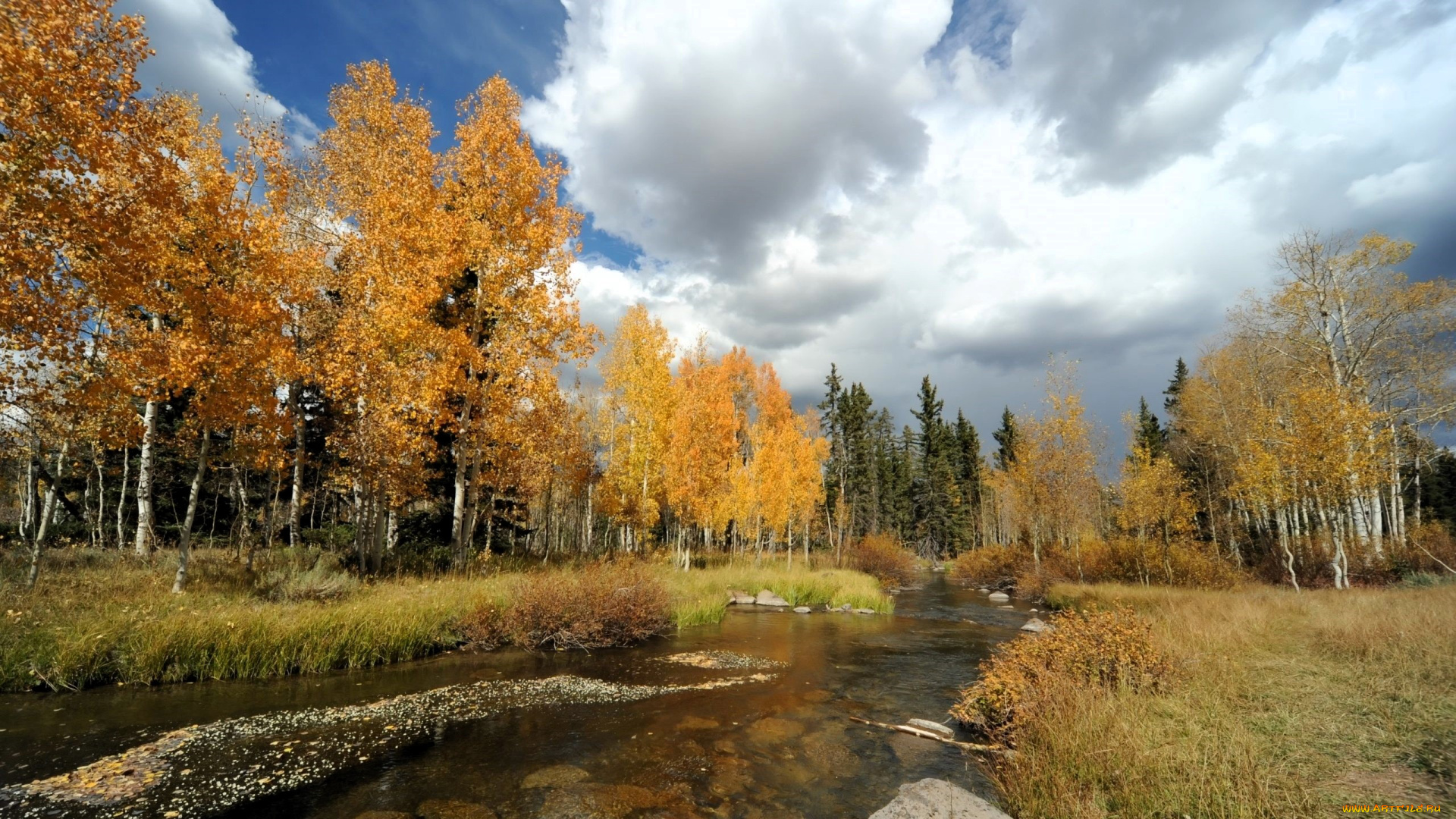 природа, реки, озера, лес, деревья, осень, река, камни, облака