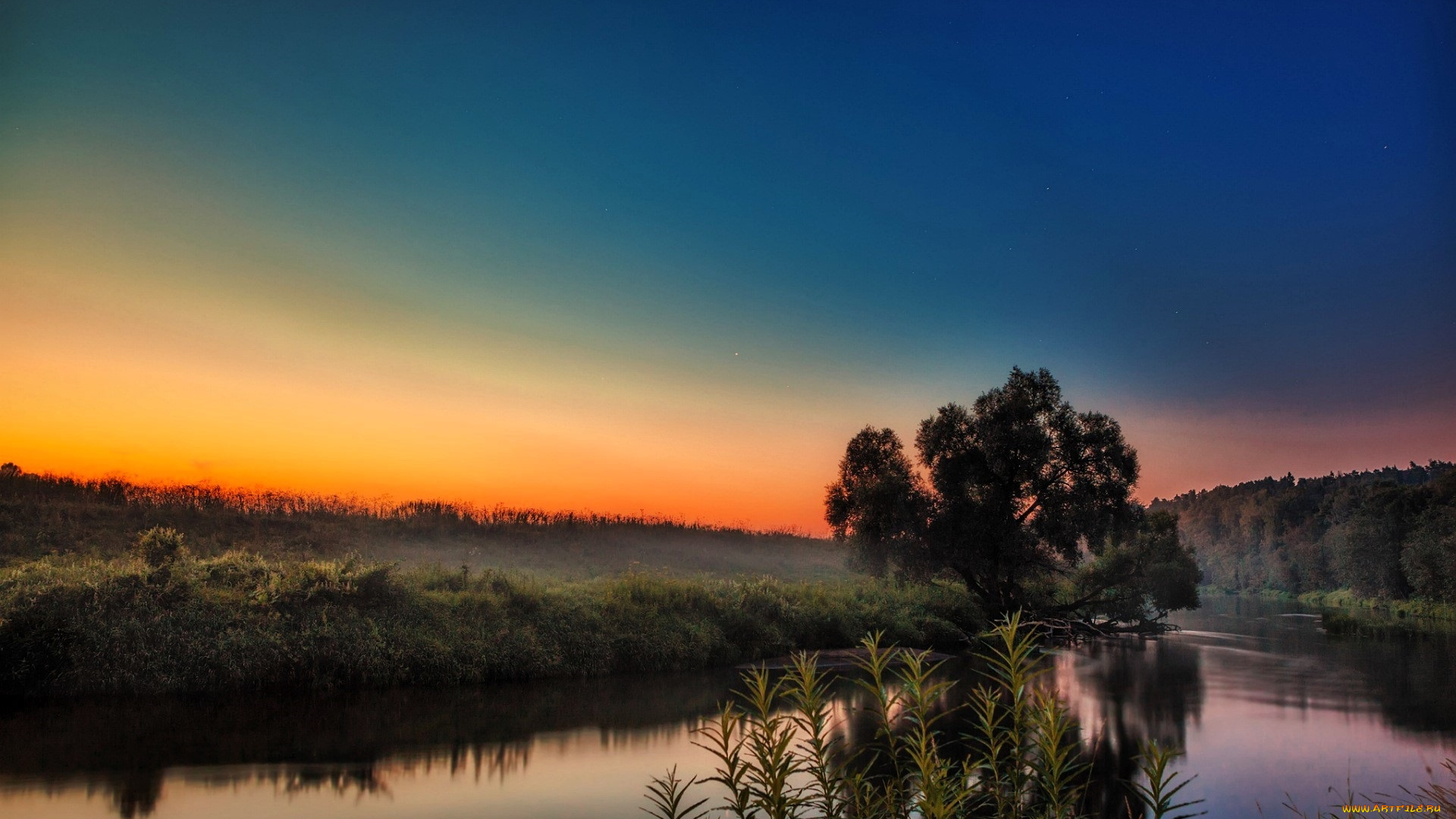 природа, реки, озера, небо, восход, туман, дерево, луга, озеро