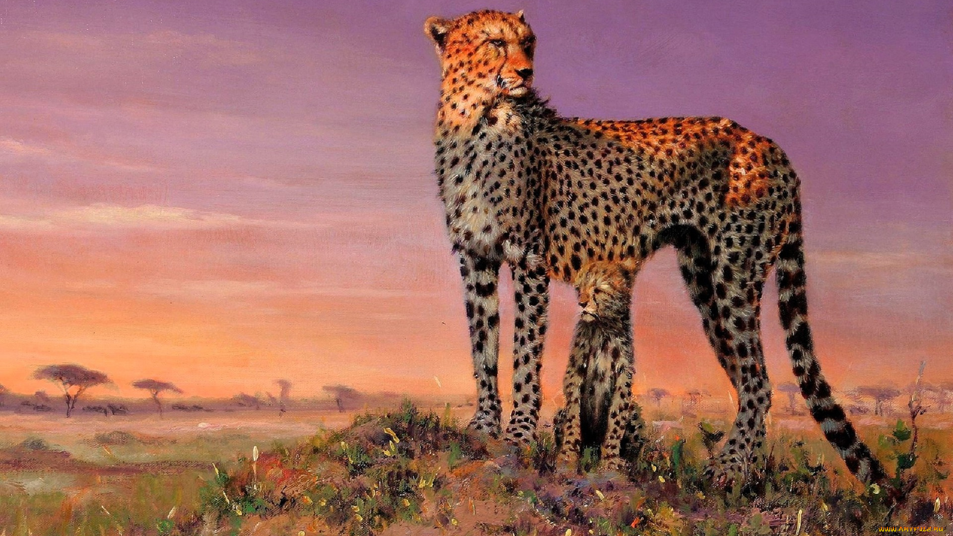 рисованное, eric, forlee, гепард, котенок, звери, саванна