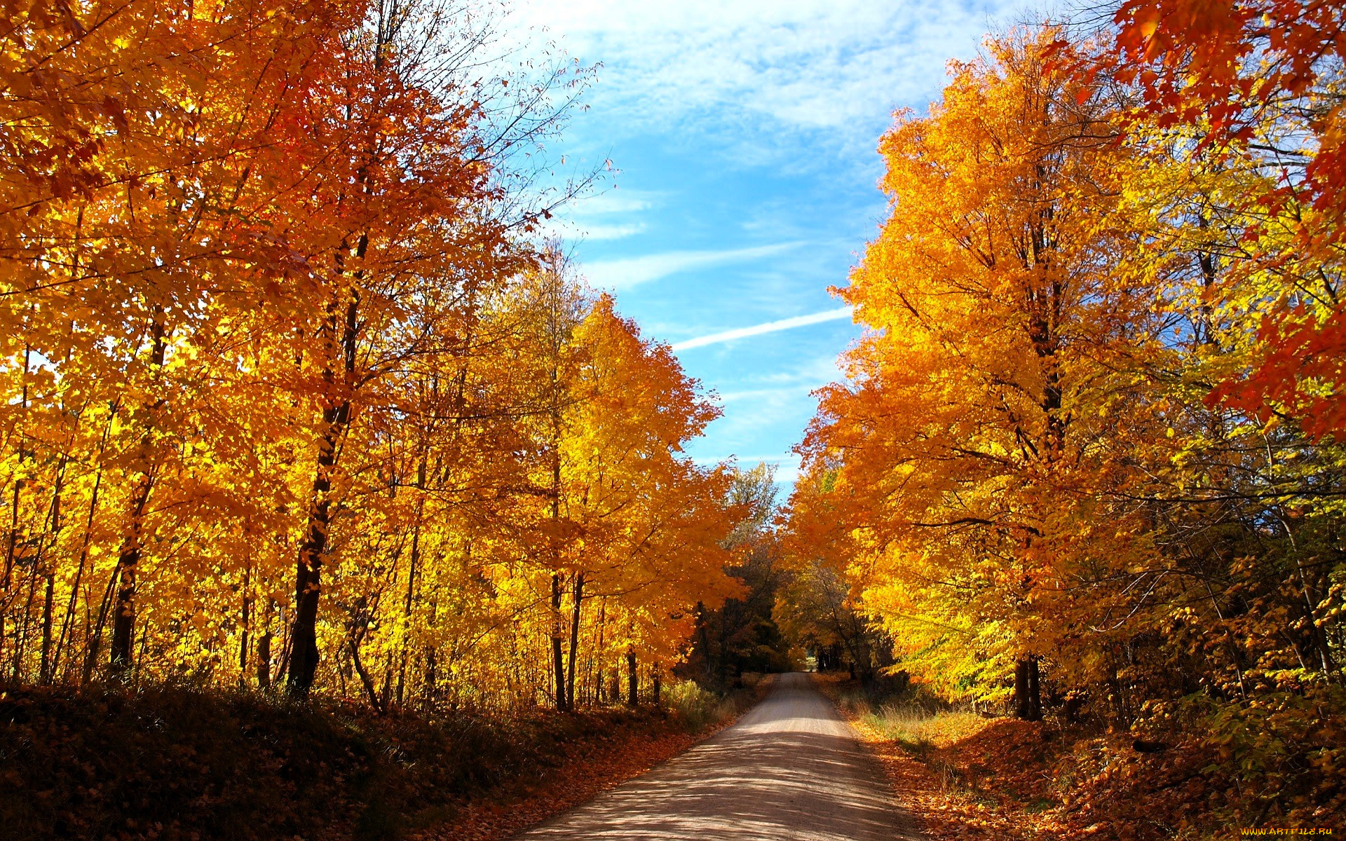 природа, дороги, лес, осень, деревья, дорога
