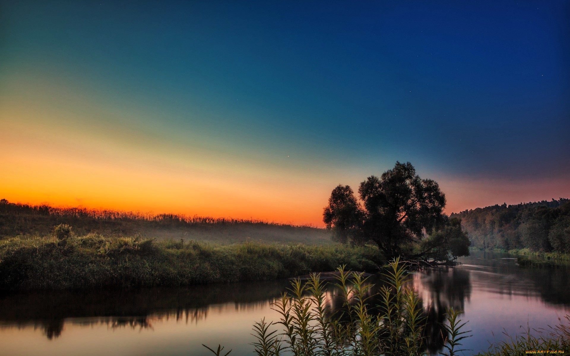 природа, реки, озера, небо, восход, туман, дерево, луга, озеро