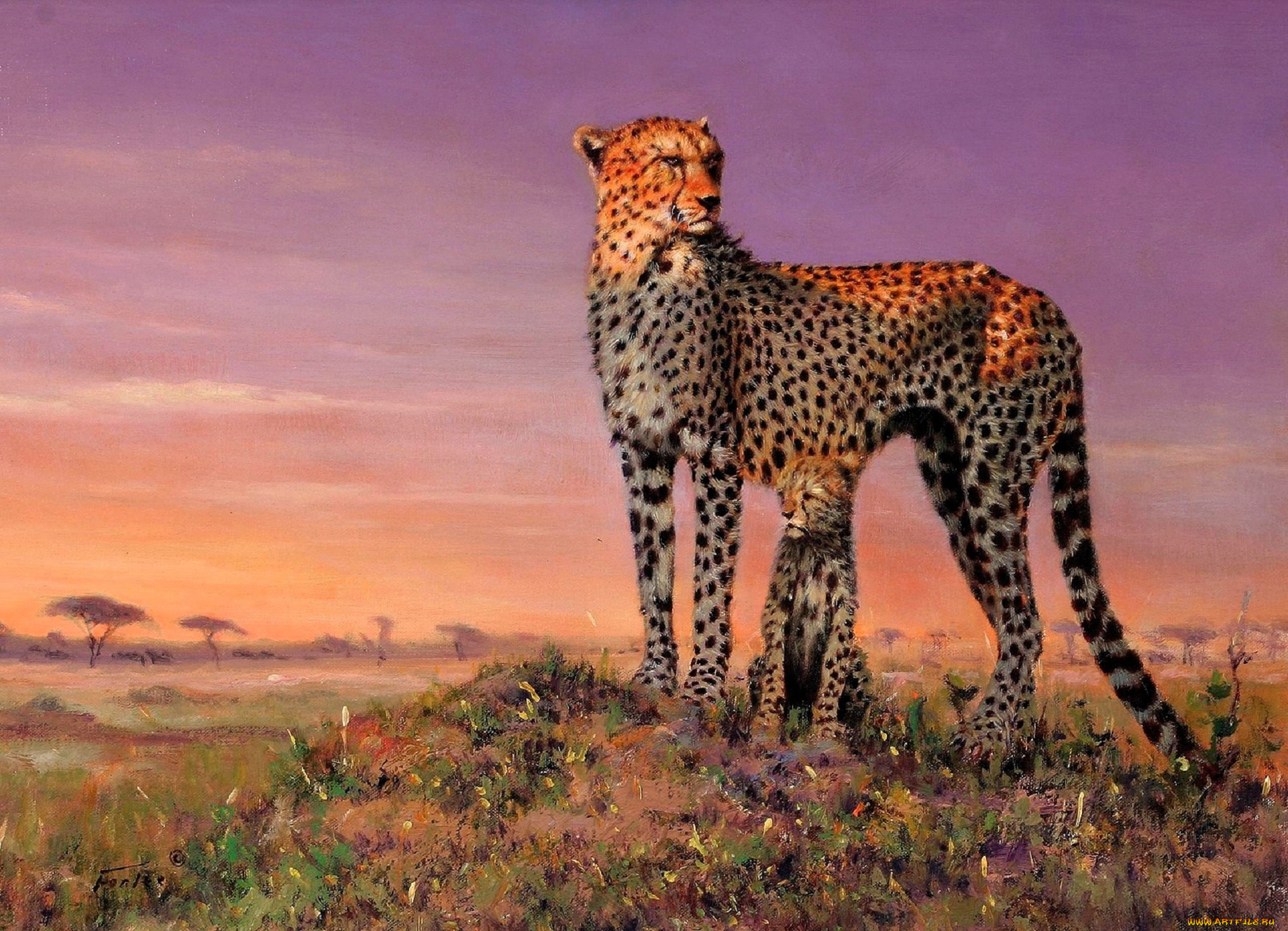 рисованное, eric, forlee, гепард, котенок, звери, саванна