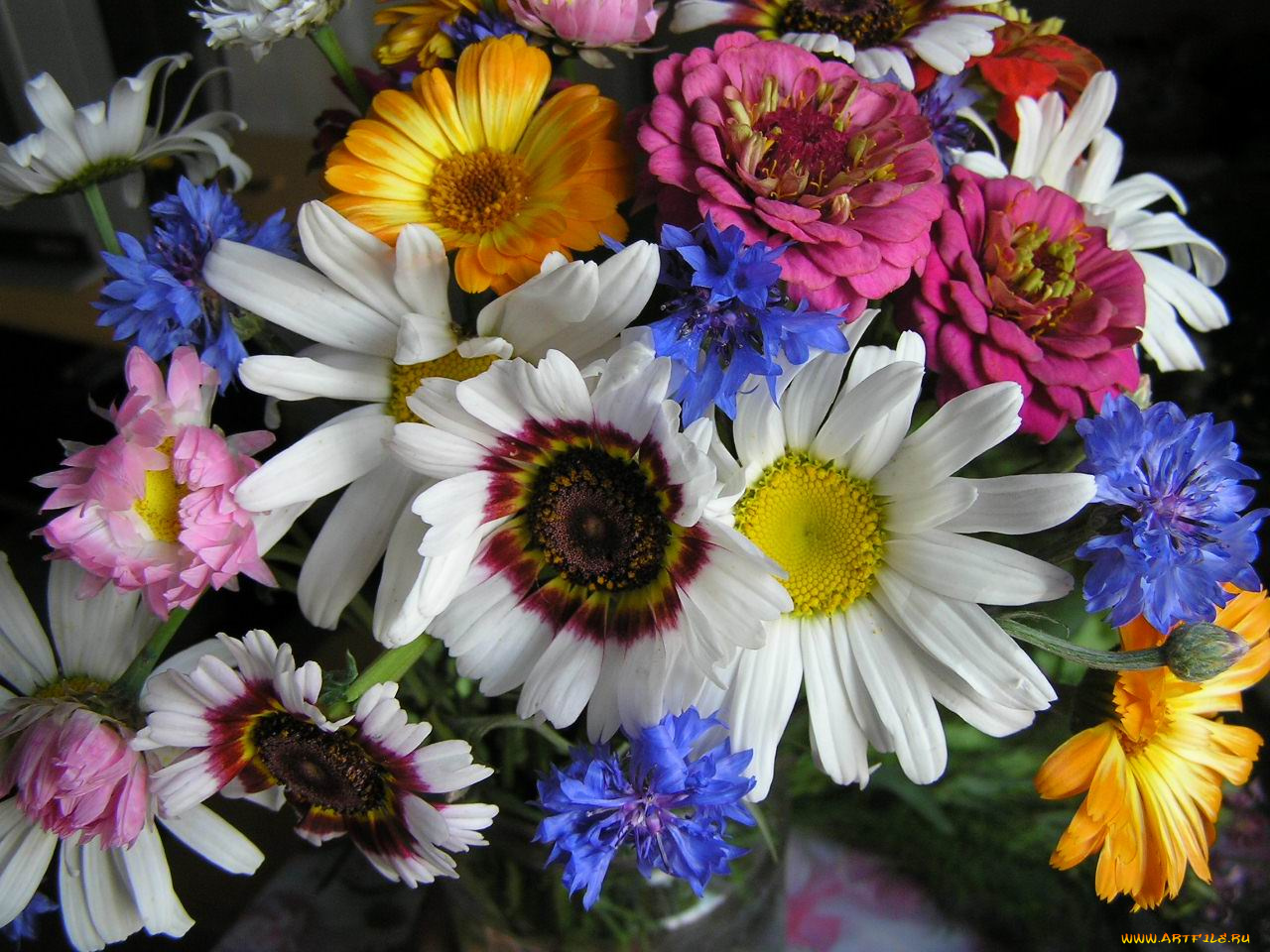 цветы, разные, вместе