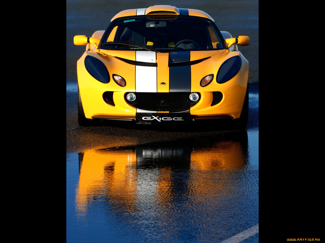 2007, lotus, sport, exige, cup, автомобили