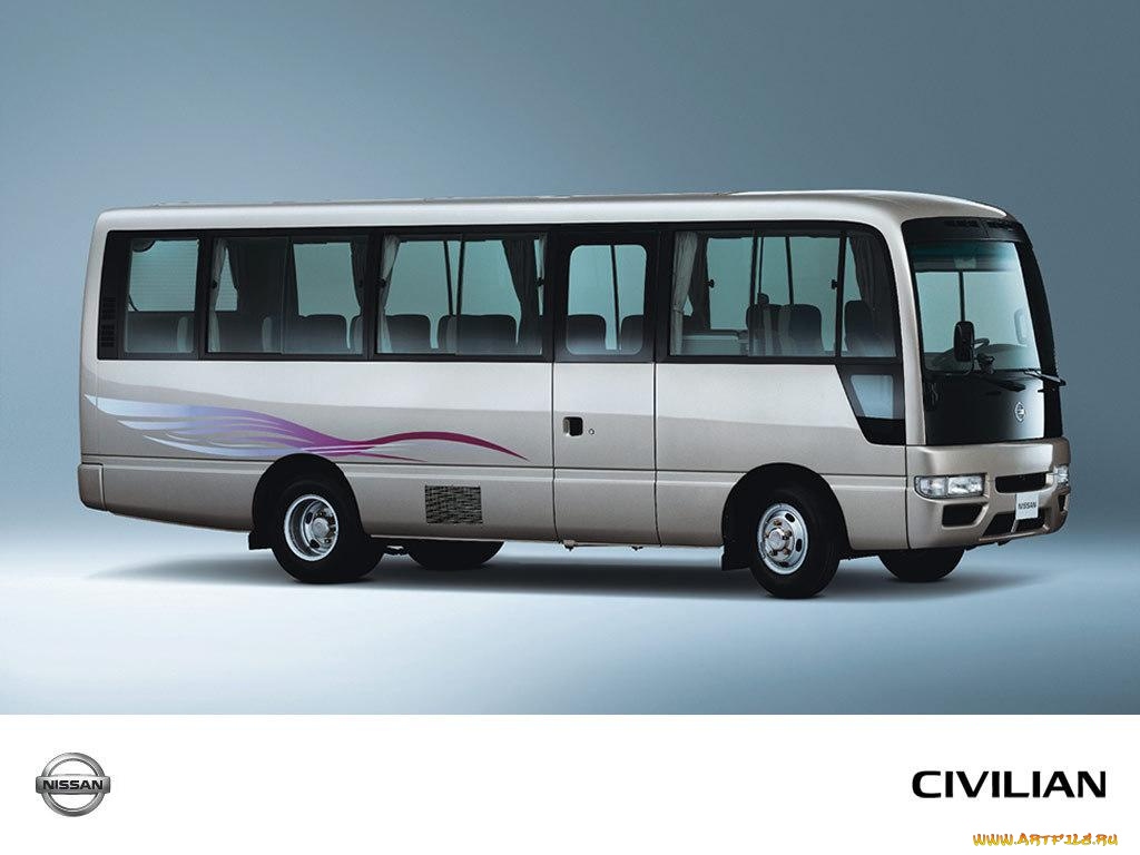 автомобили, автобусы