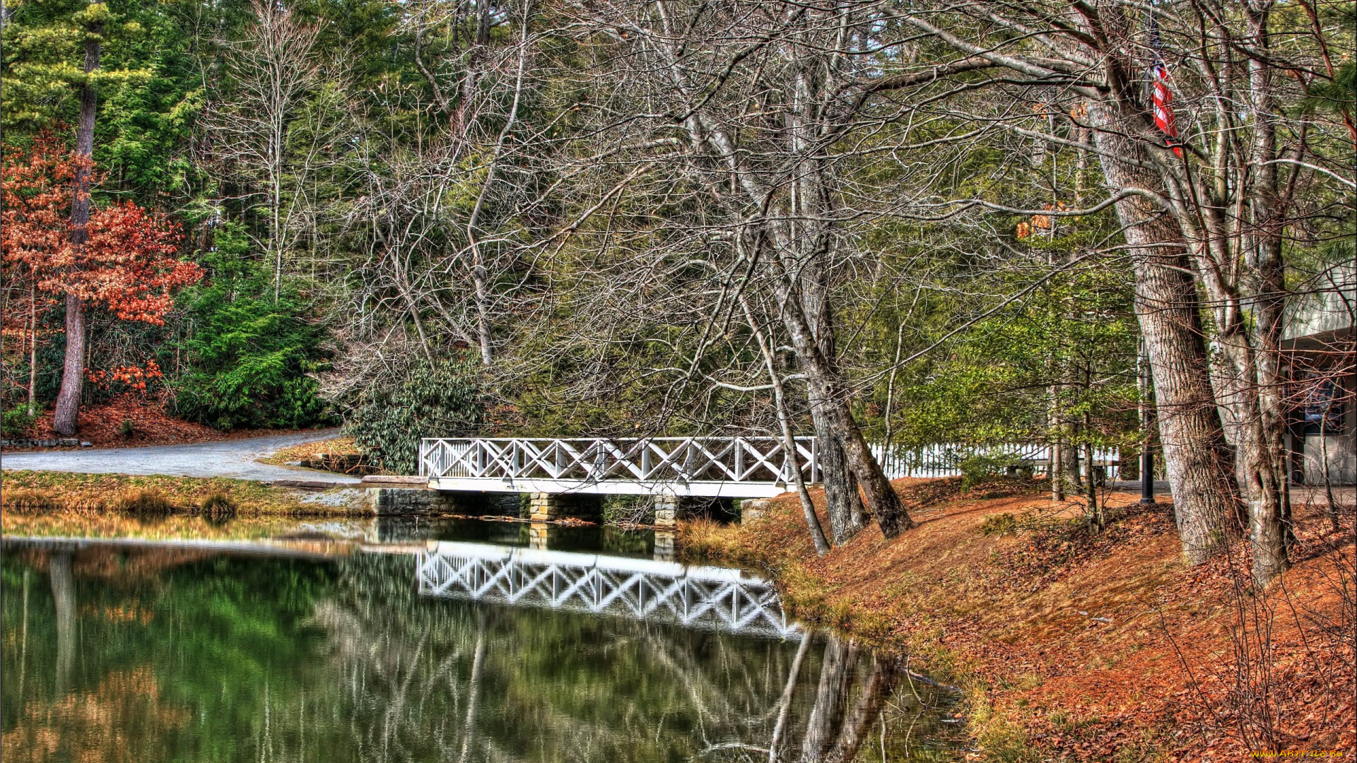 природа, реки, озера