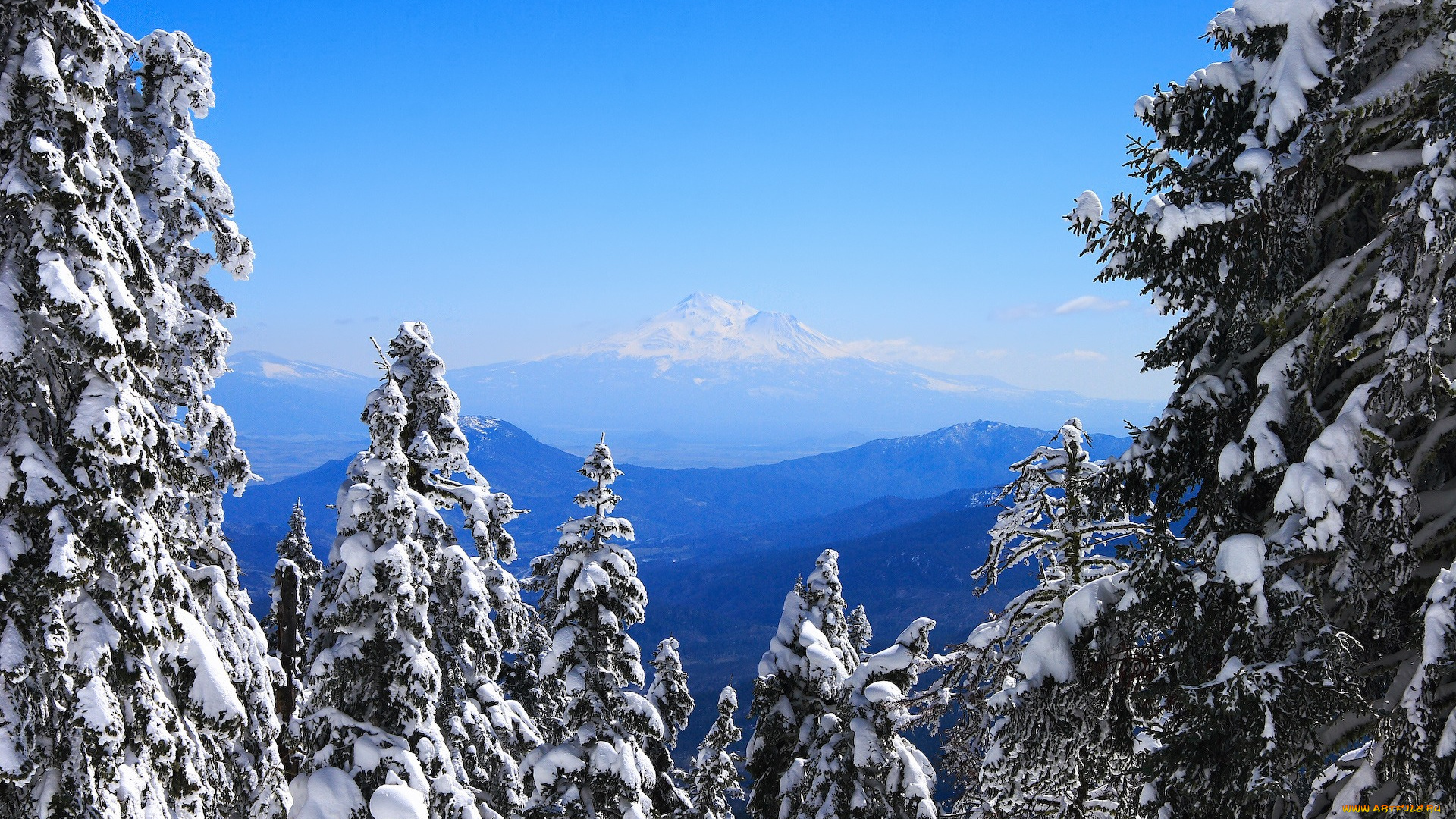 природа, зима