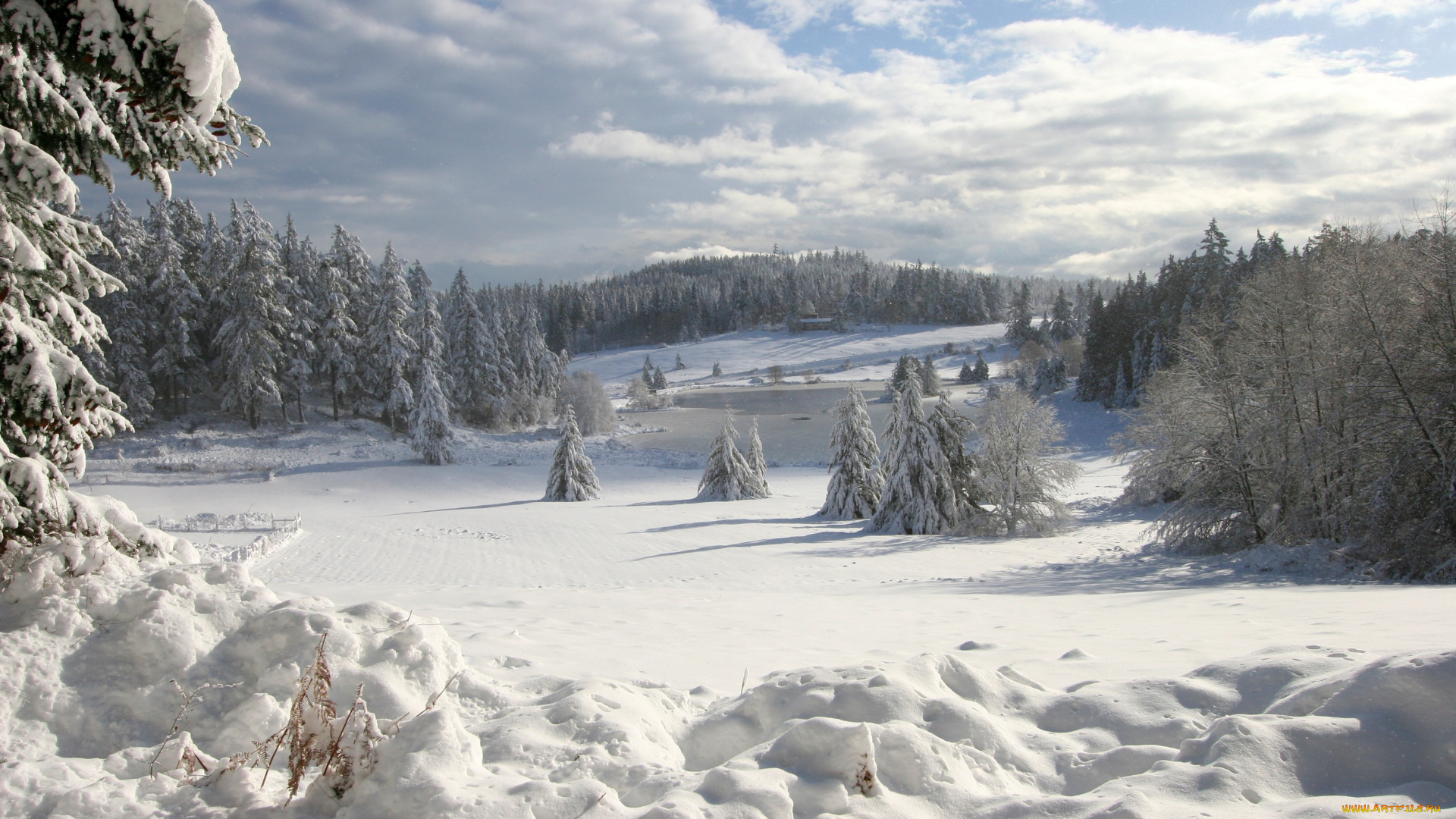 природа, зима