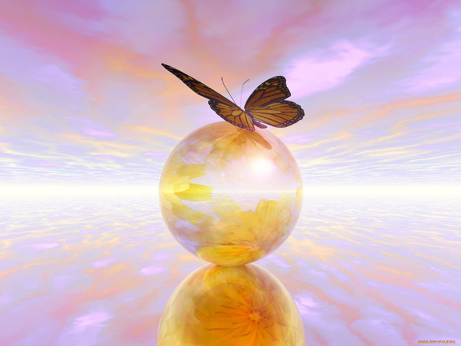 3д, графика, animals, животные, шар, бабочка