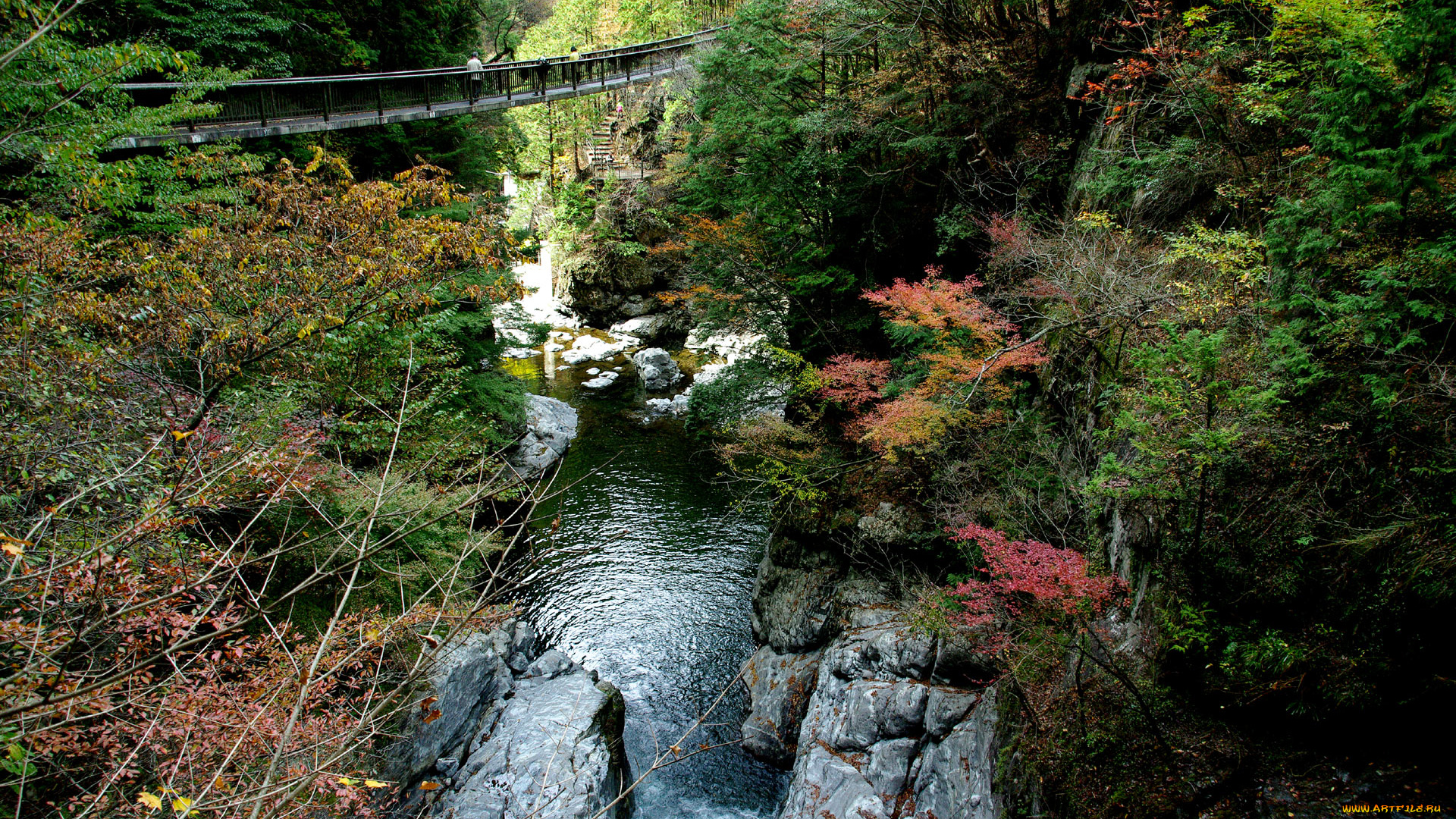 природа, реки, озера, мостик, камни, лес