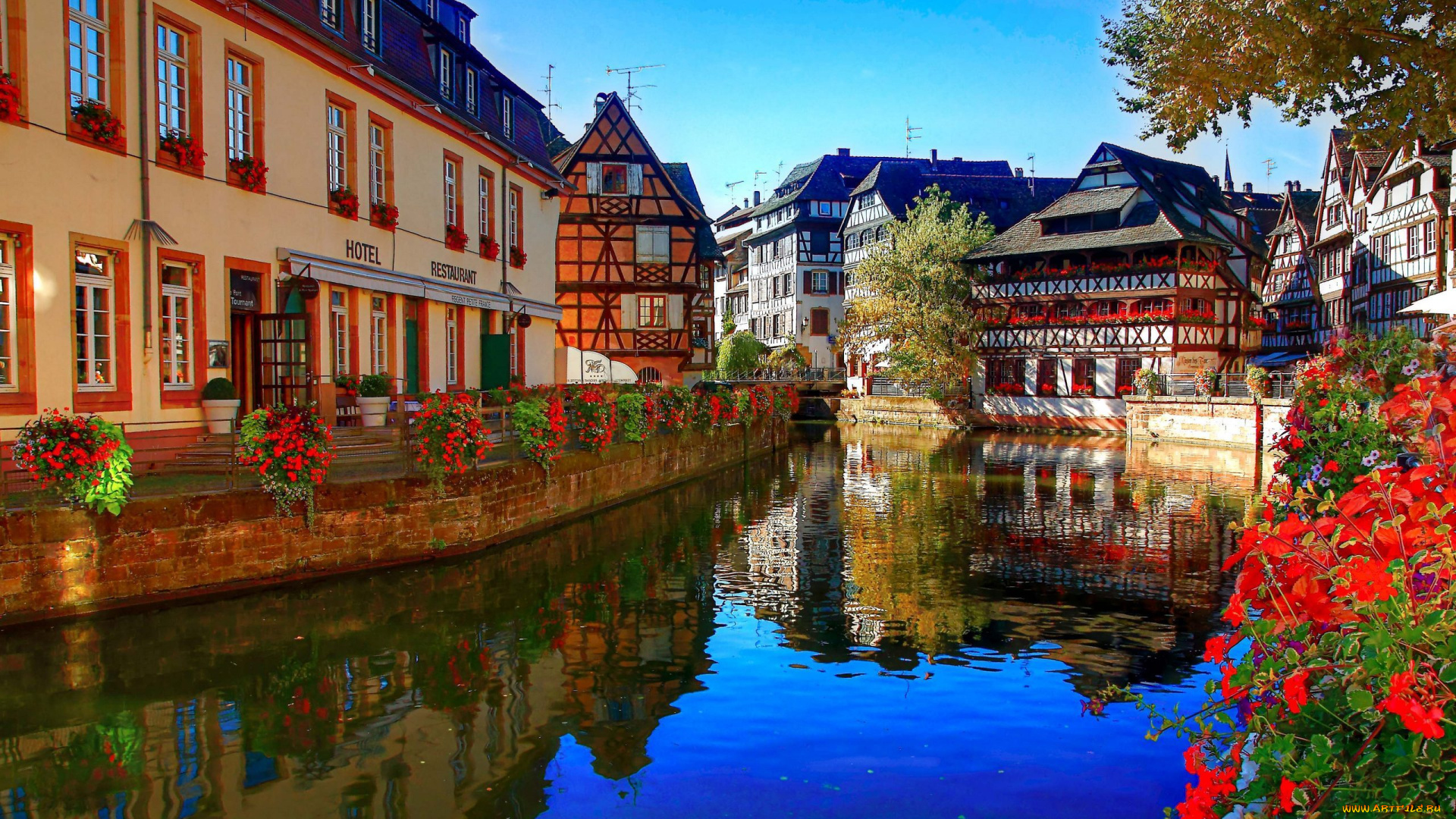 strasbourg, france, города, страсбург, франция, цветы, здания, река