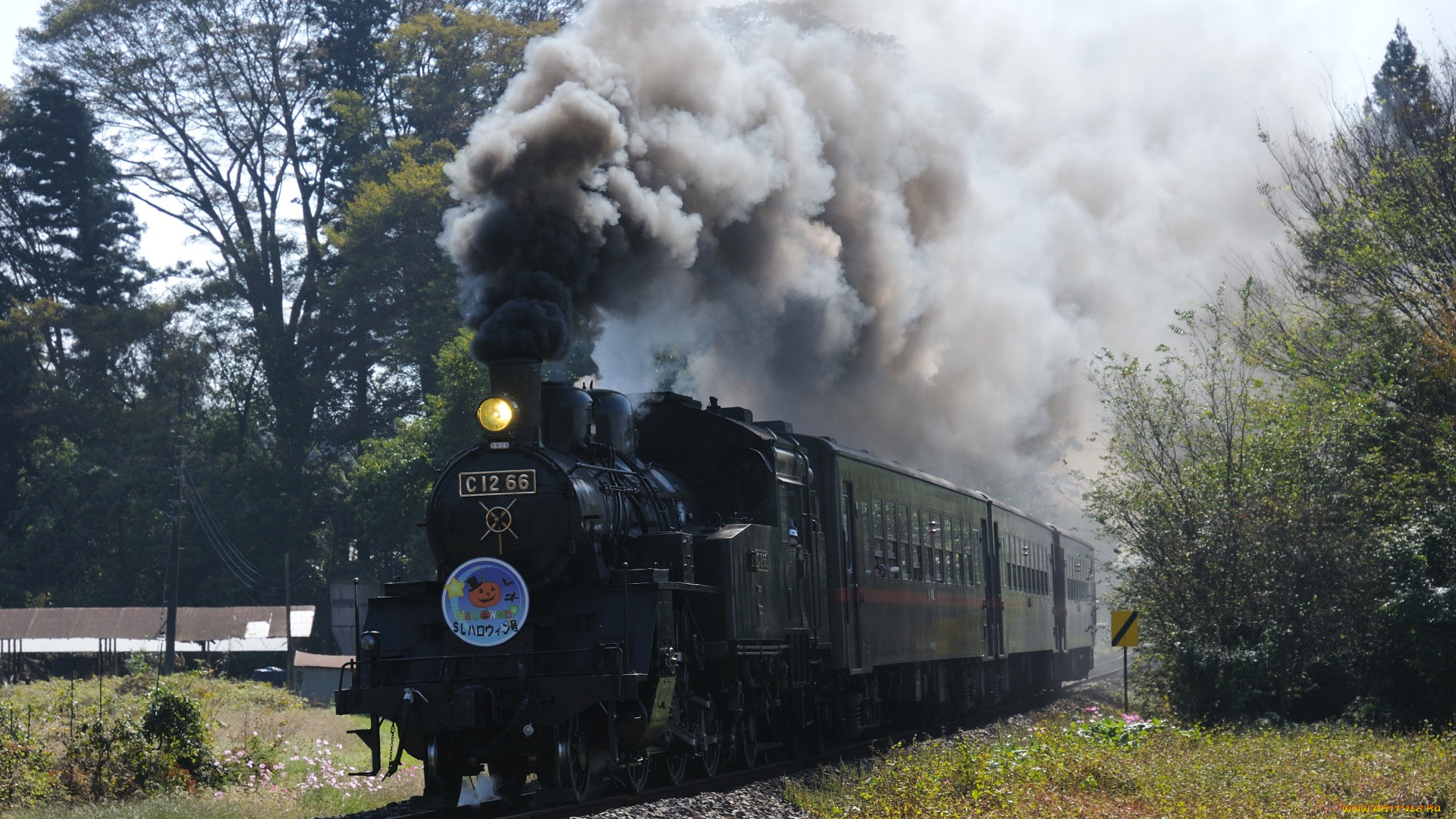 техника, паровозы, деревья, вагоны