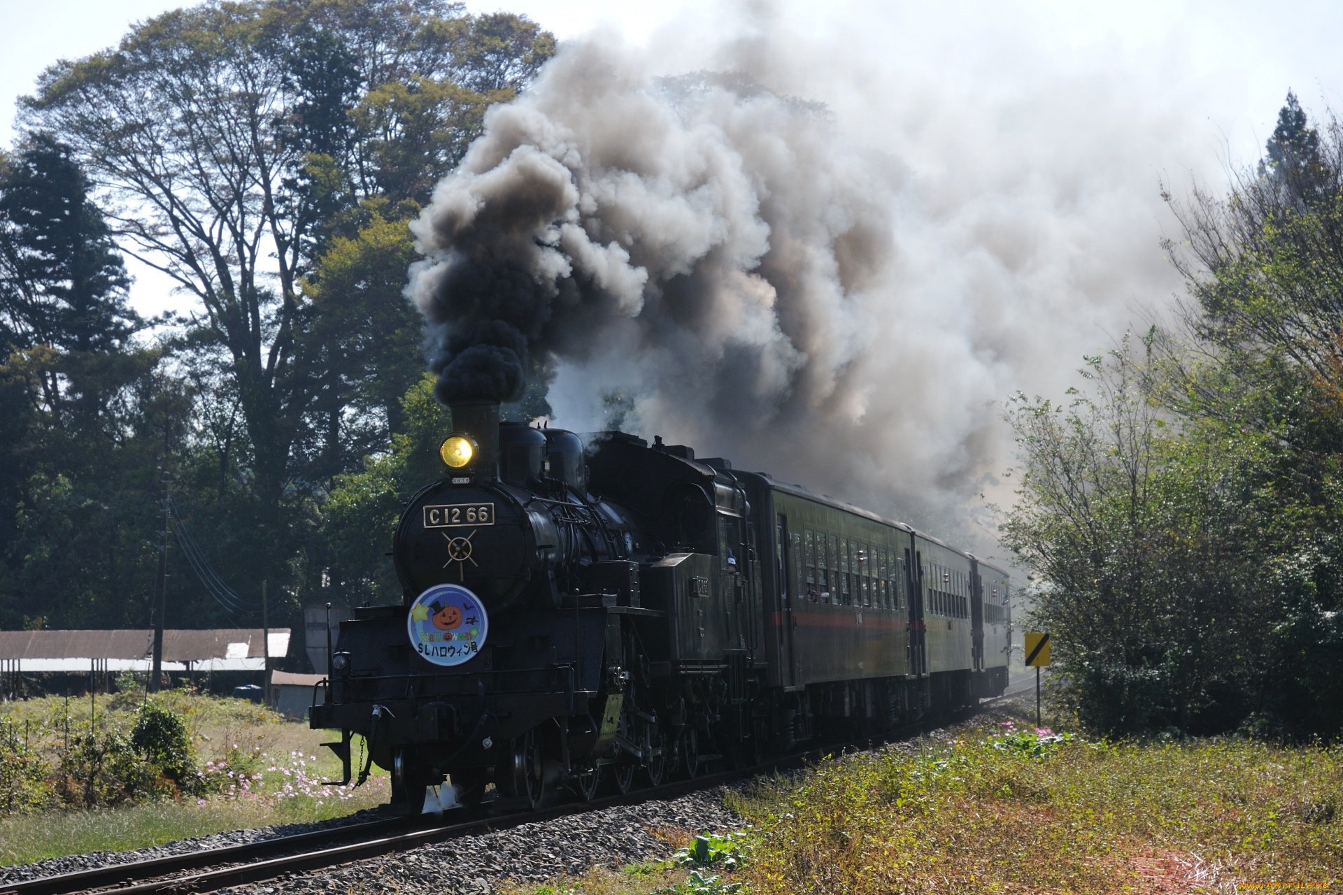 техника, паровозы, деревья, вагоны