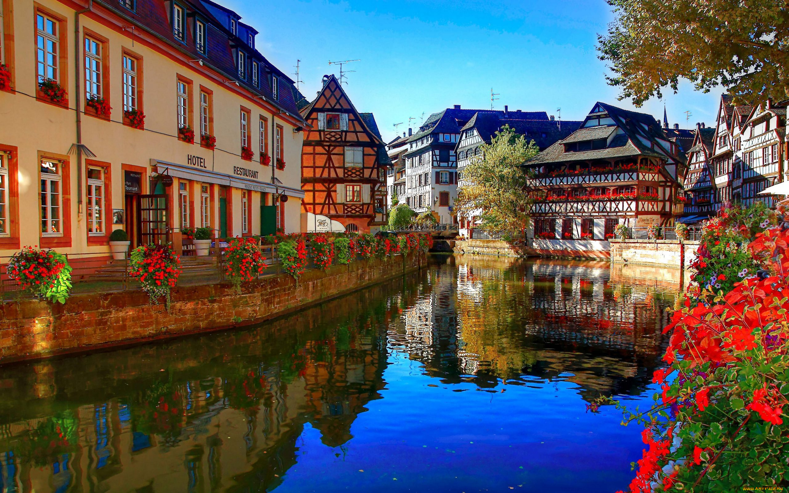 strasbourg, france, города, страсбург, франция, цветы, здания, река
