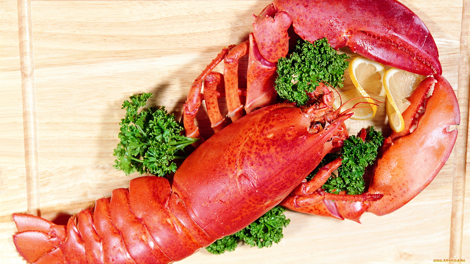 еда, рыба, морепродукты, суши, роллы, омар