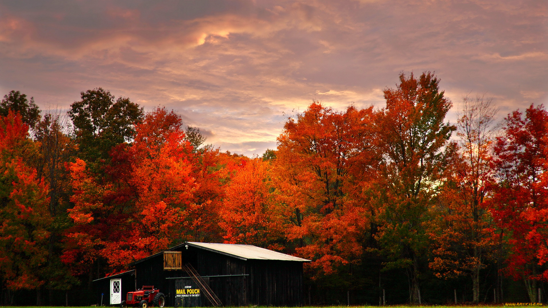 virginia, природа, лес, осень
