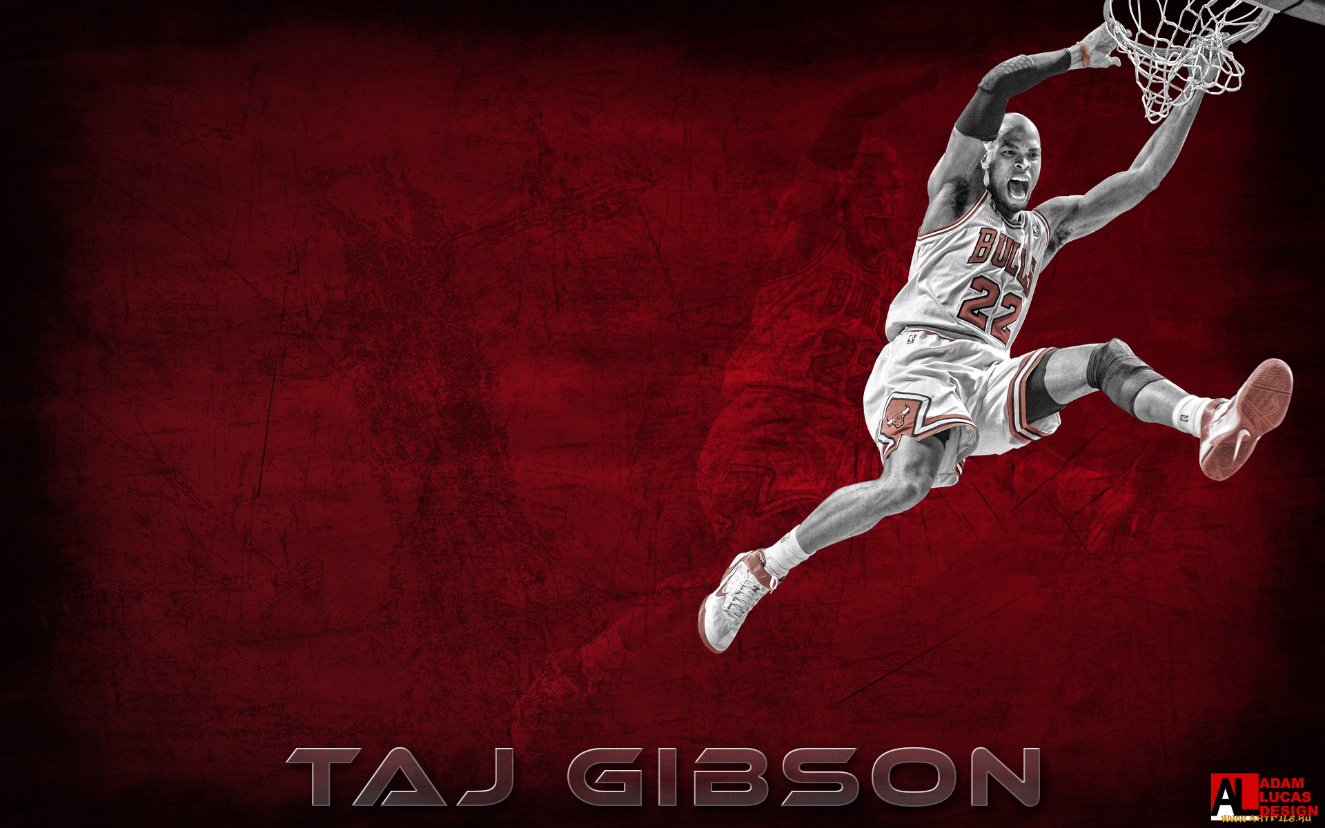 taj, gibson, спорт, nba, баскетбол, нба