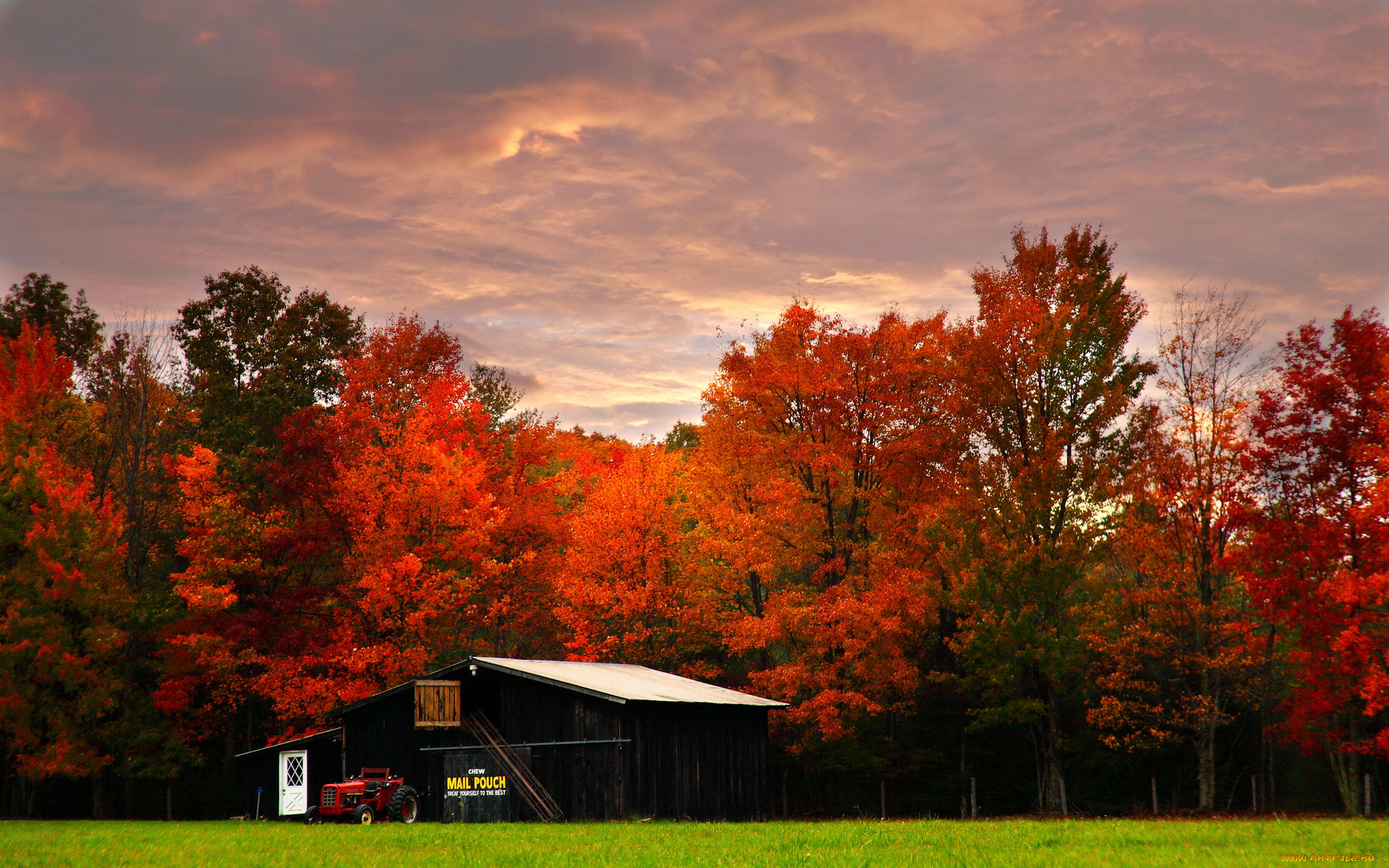 virginia, природа, лес, осень