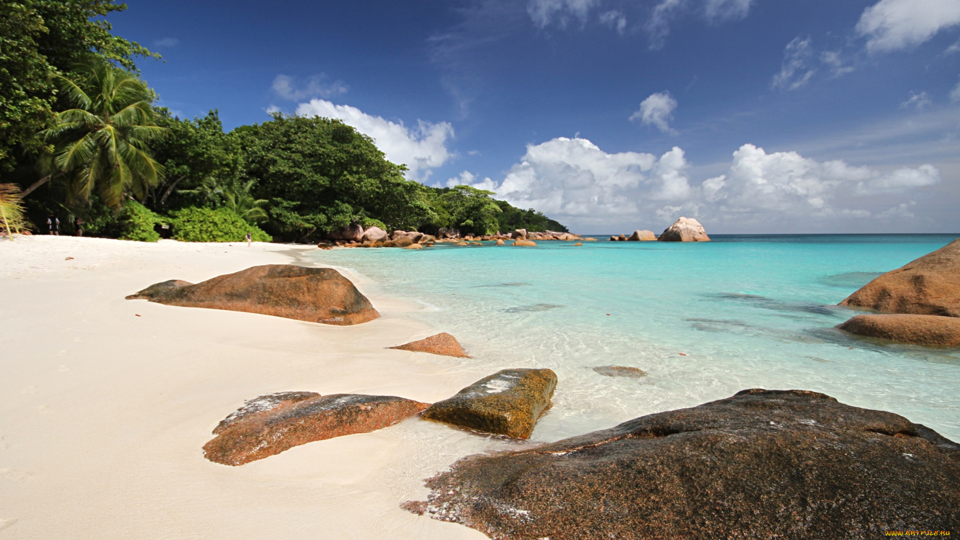 природа, тропики, берег, песок, камни