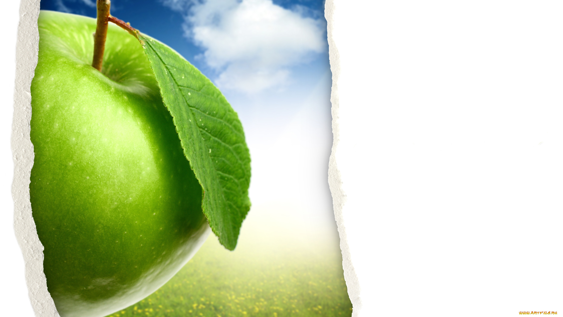 разное, компьютерный, дизайн, яблоко