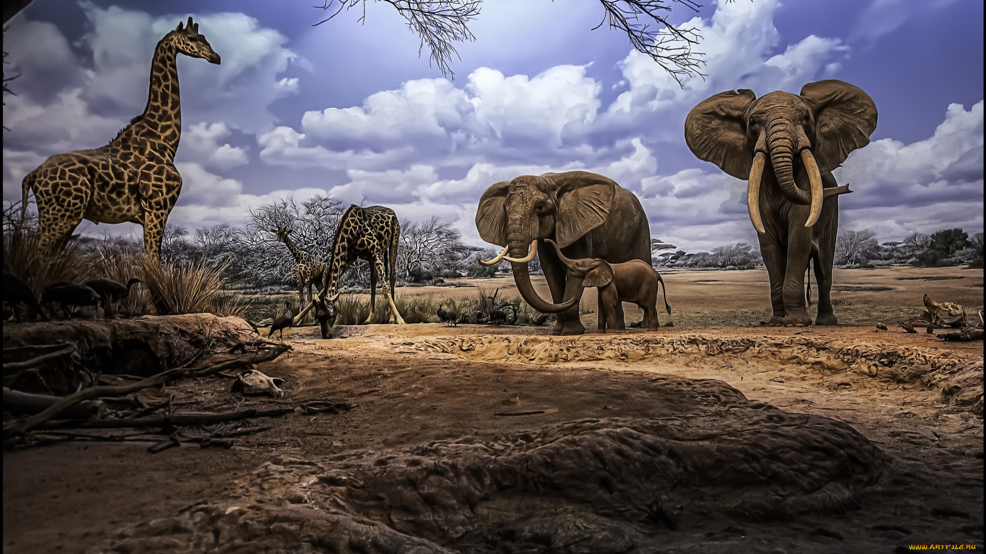 рисованные, животные, жирафы, слоны, саванна