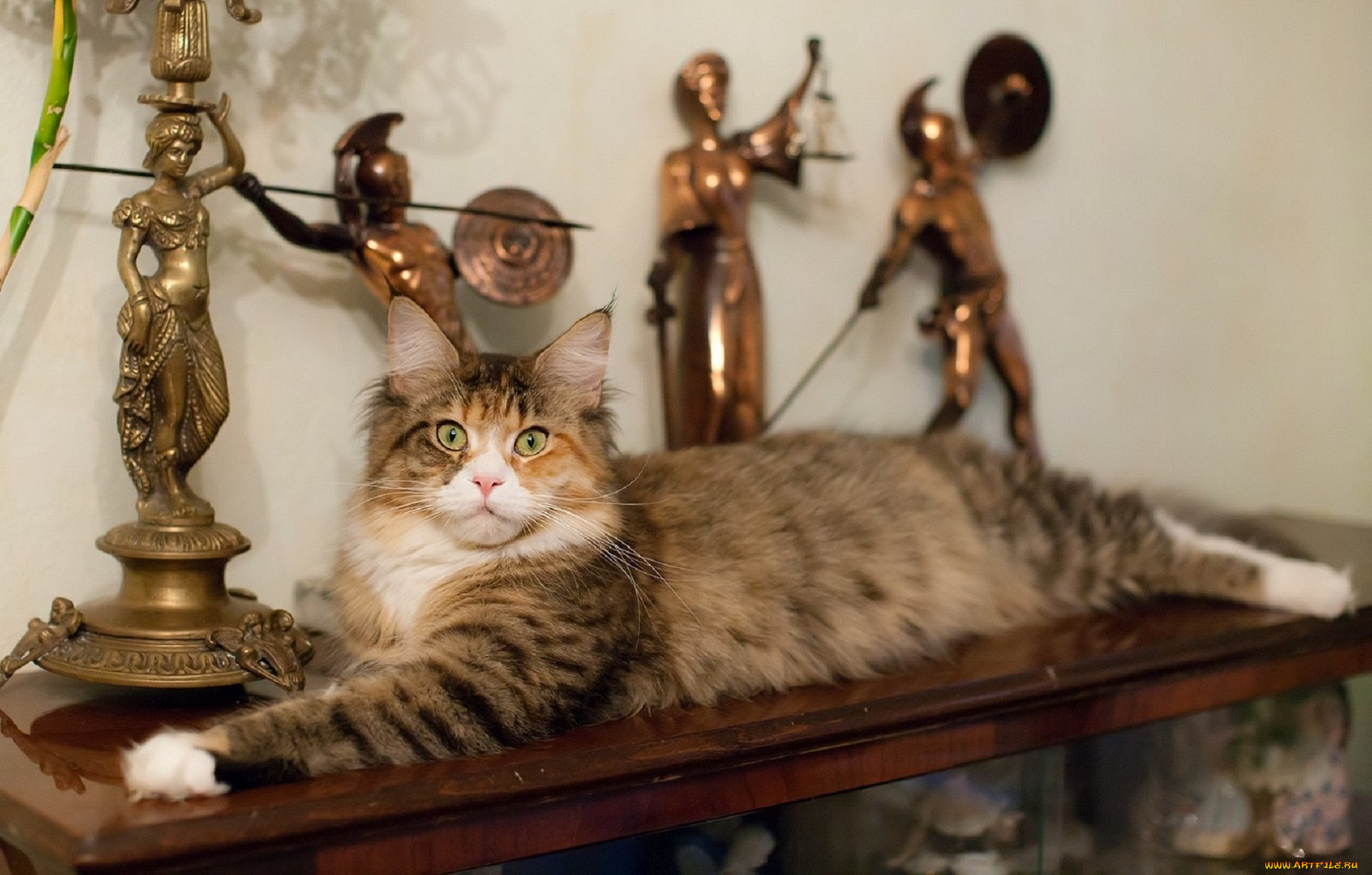 животные, коты, статуэтки, киса