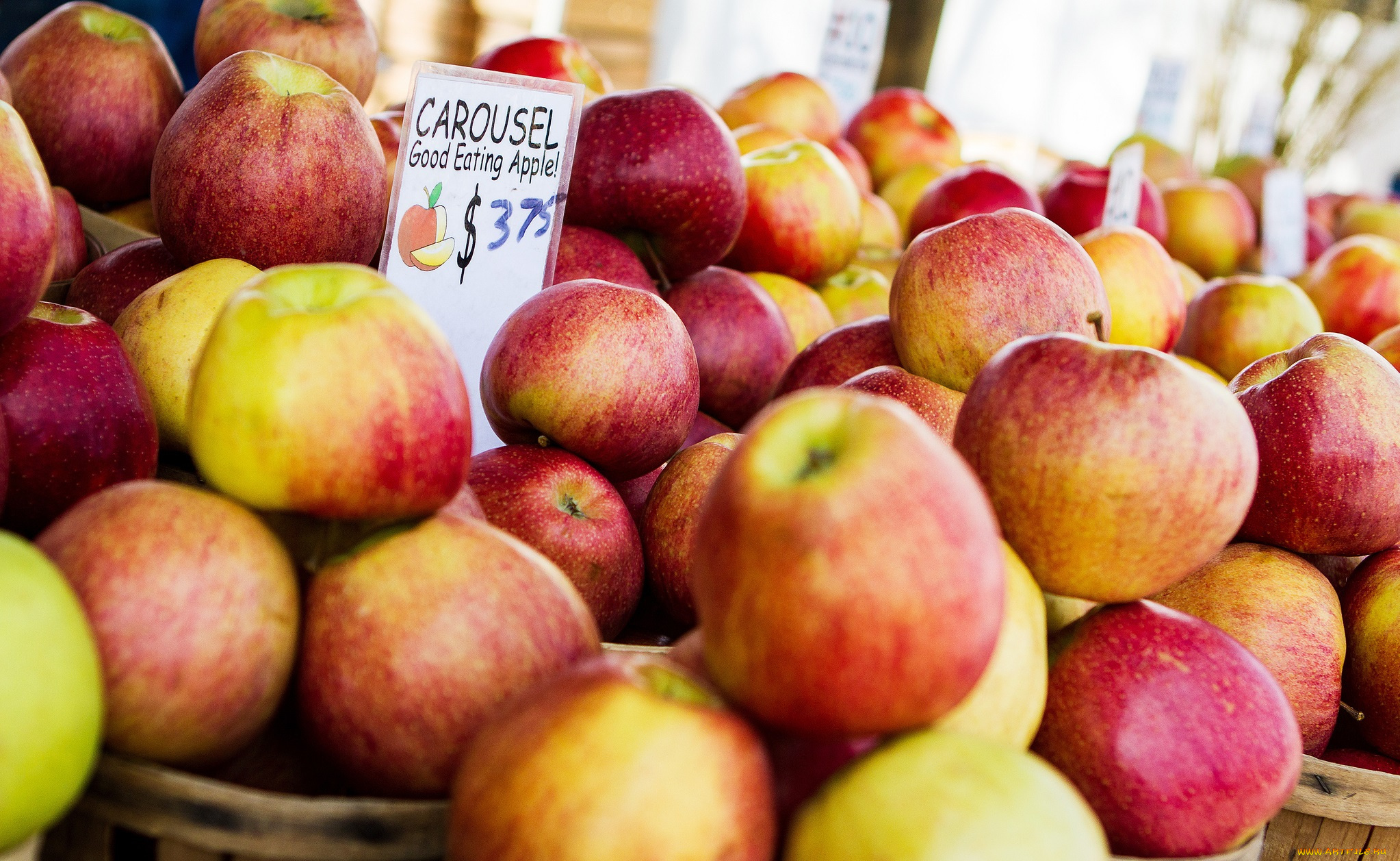 еда, Яблоки, бирка, яблоки