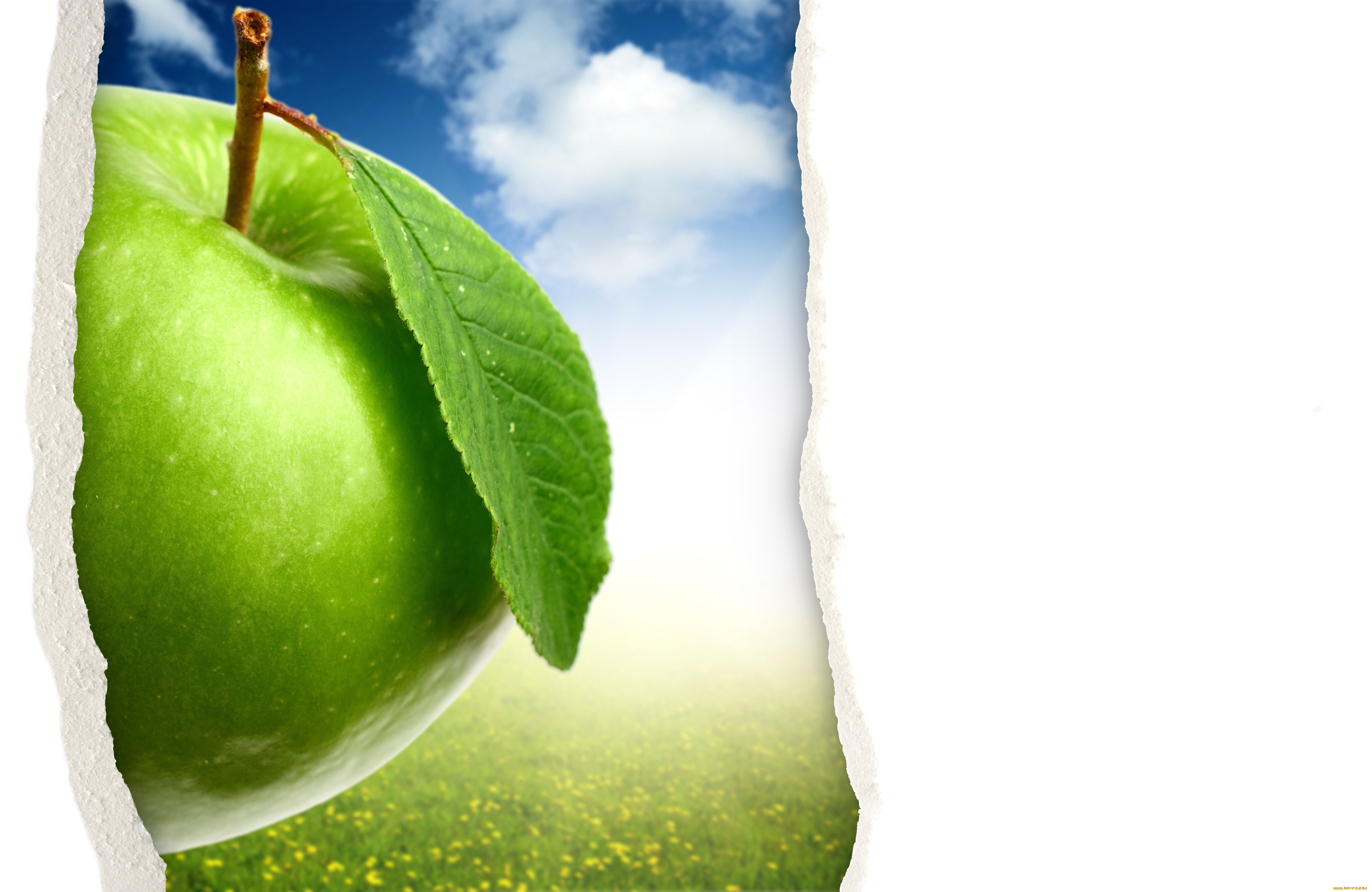 разное, компьютерный, дизайн, яблоко