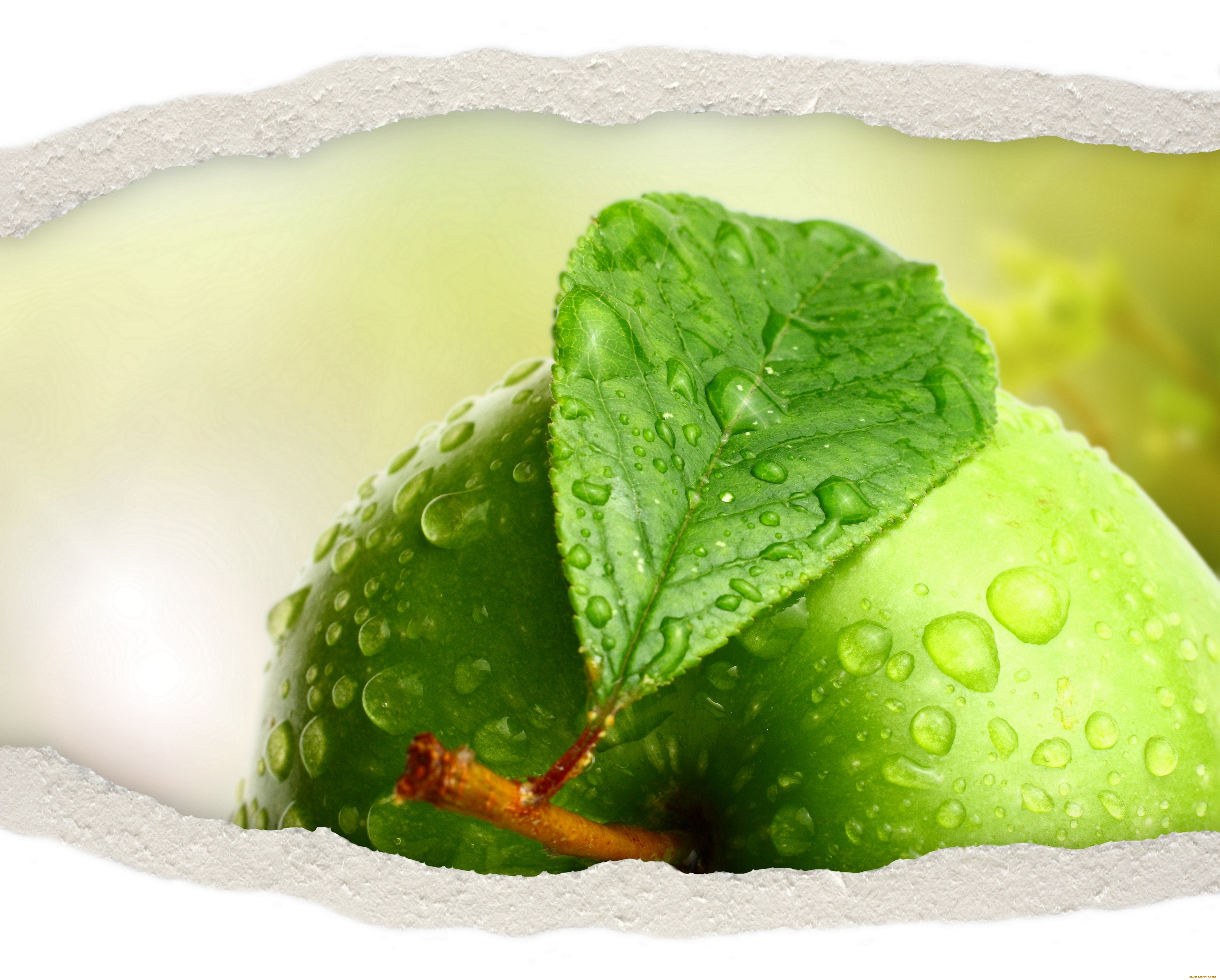 разное, компьютерный, дизайн, яблоко