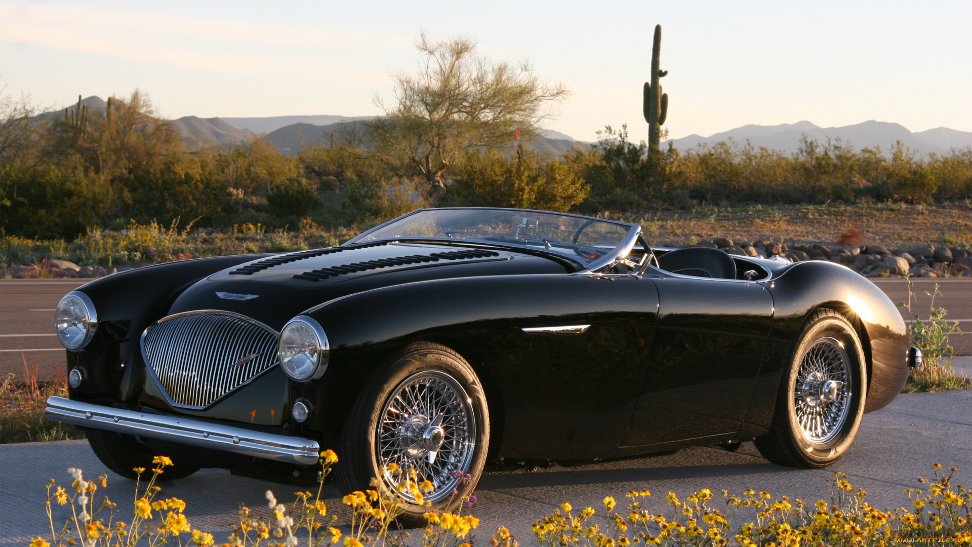 автомобили, austin, austin-healy