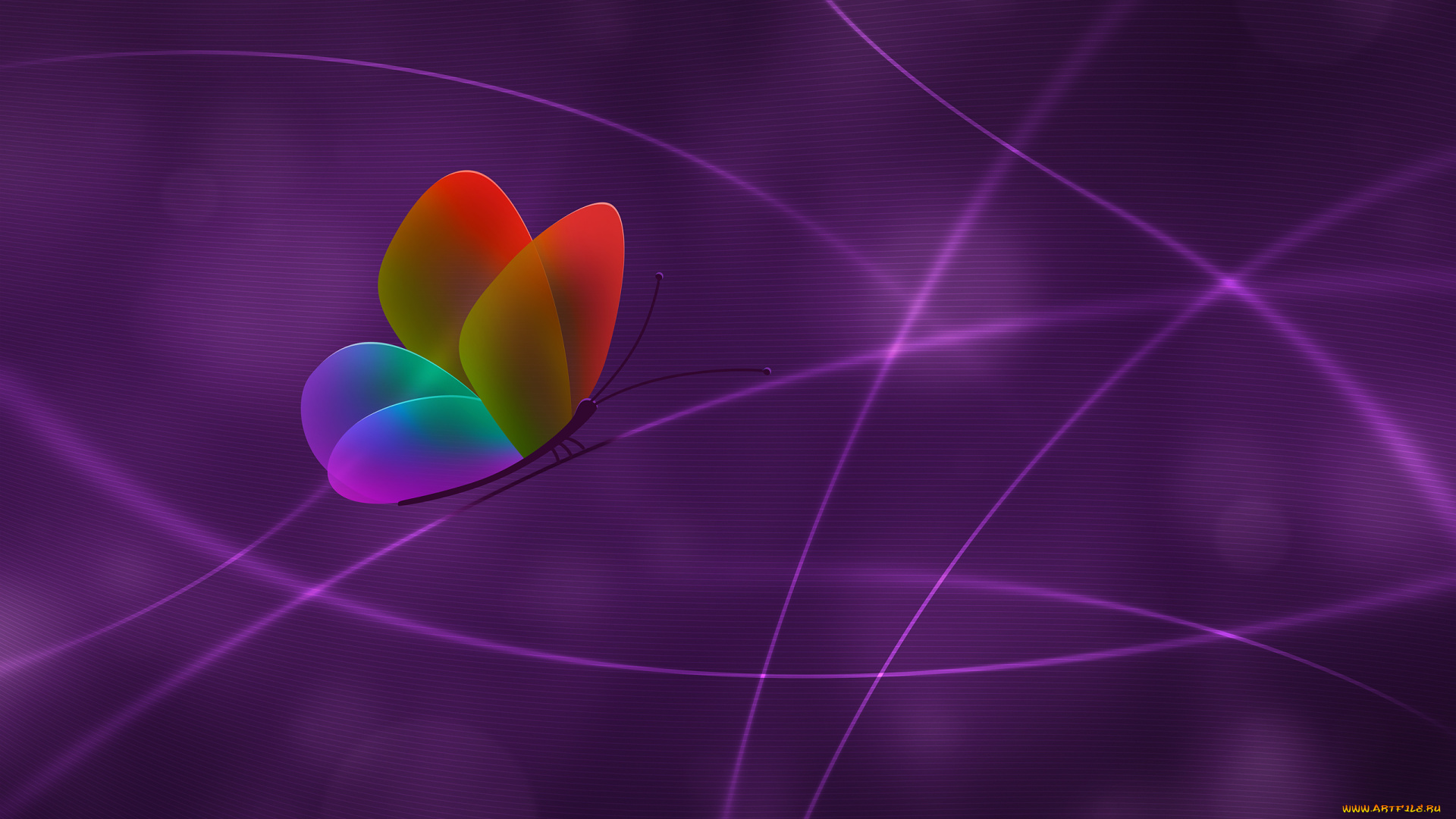 3д, графика, животные, , animals, фиолетовый, бабочка, линии
